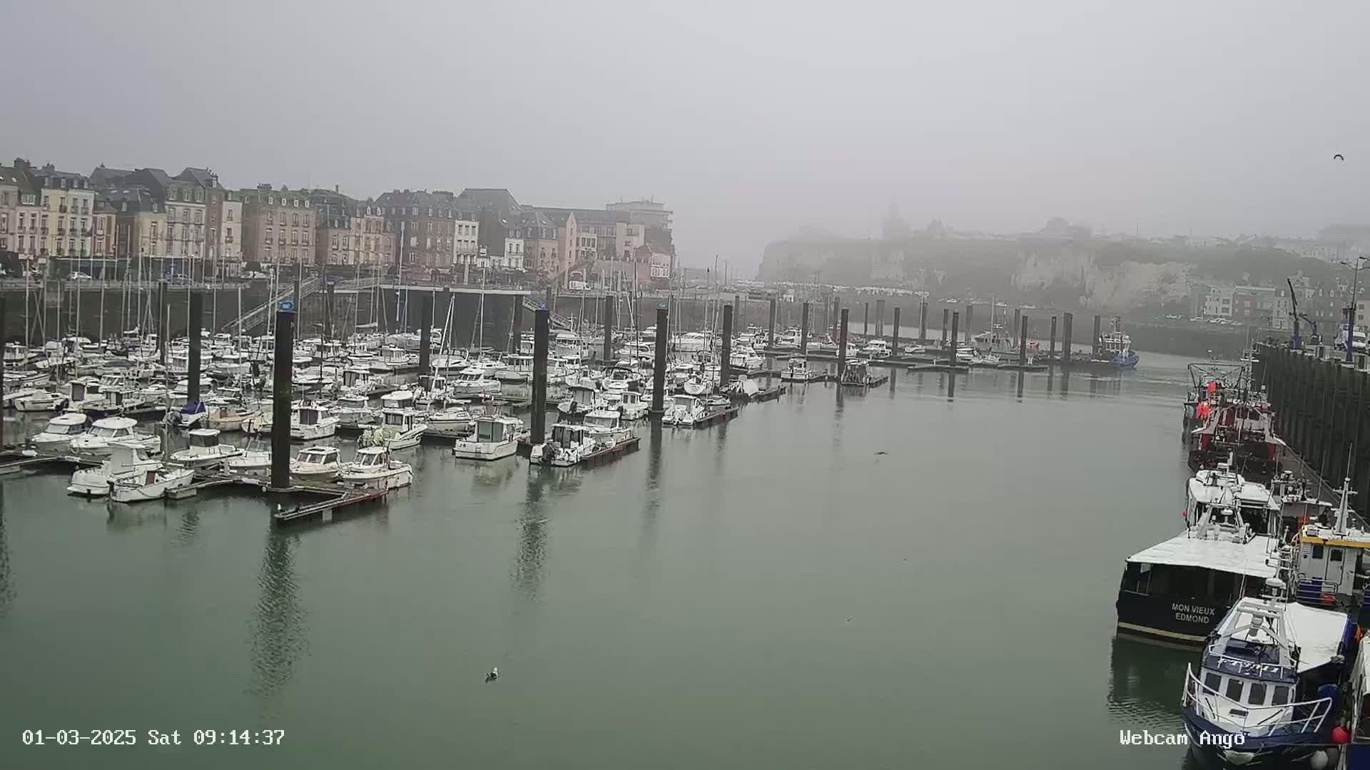A foggy harbor filled with many docked sailboats and motorboats, in front of a town with multi-story buildings.