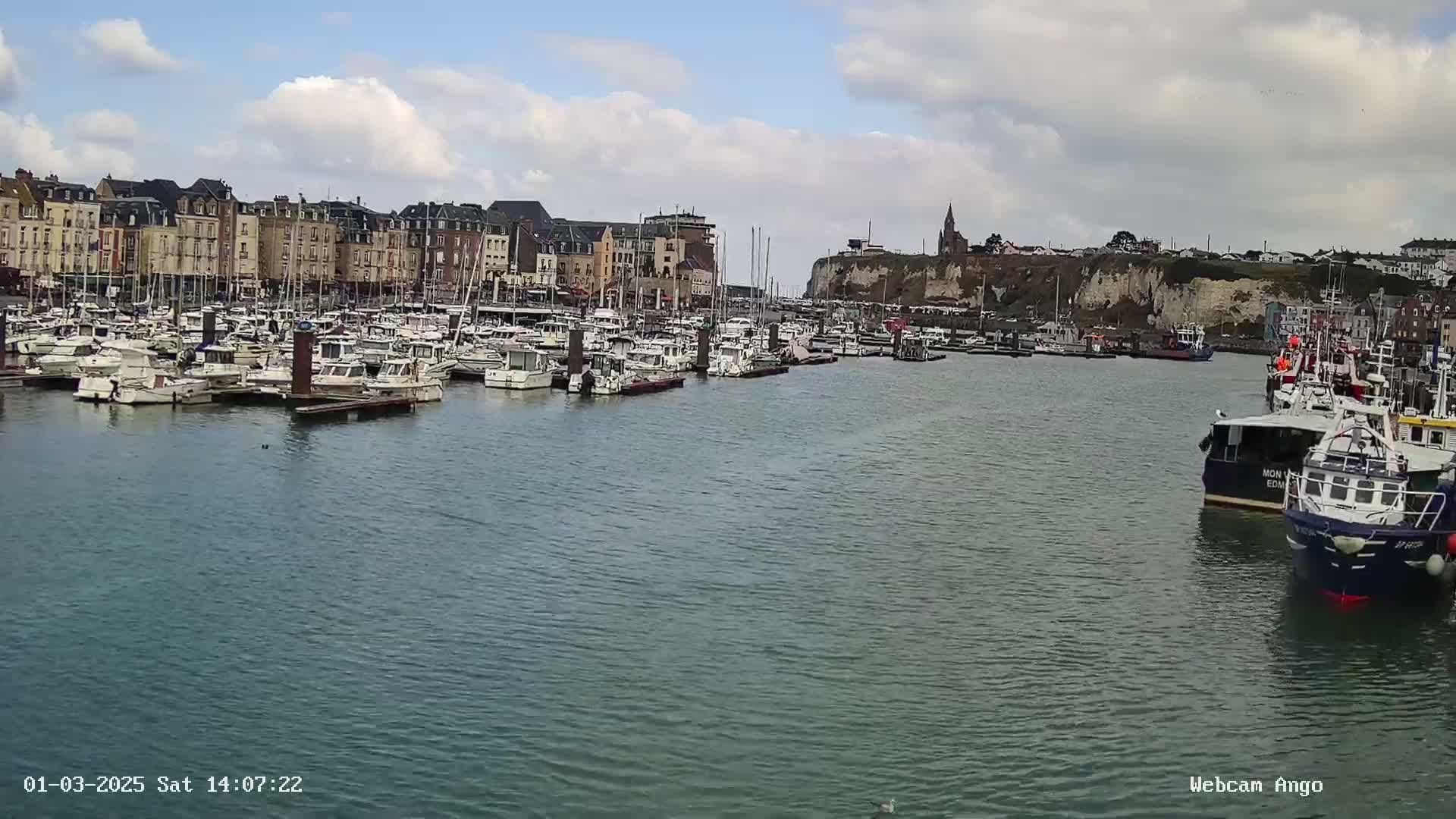 A harbor filled with numerous boats is situated in front of a town with multi-story buildings under a partly cloudy sky.