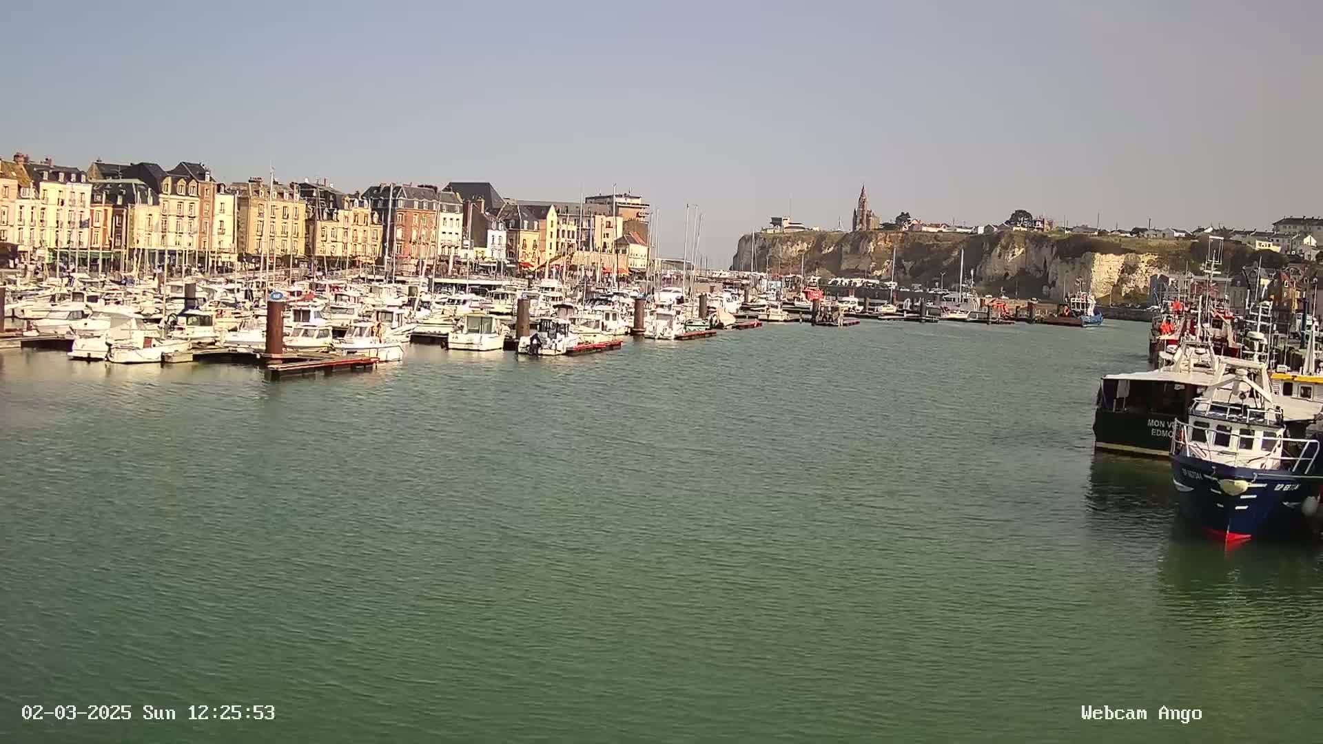 A harbor filled with numerous boats is situated in front of a row of buildings and a cliff face on a sunny day.