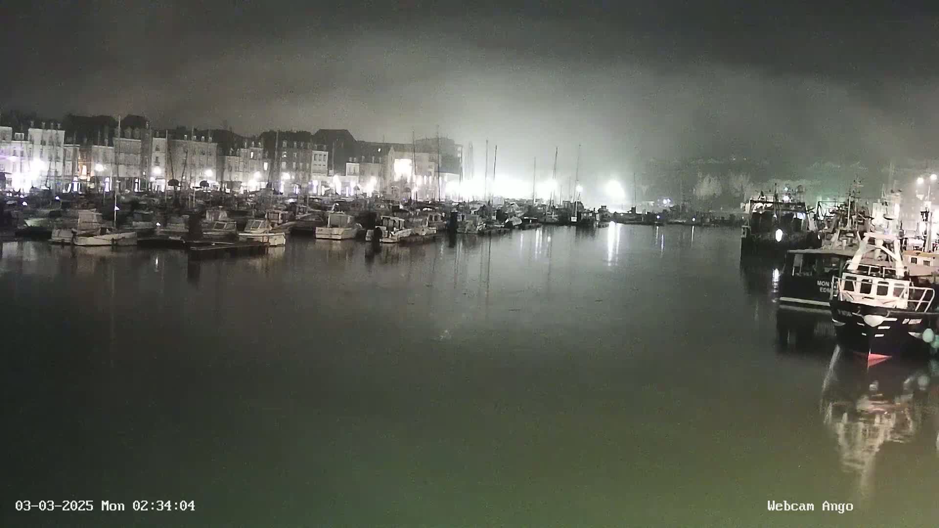 A foggy night scene shows a harbor filled with numerous boats docked along a waterfront lined with buildings.