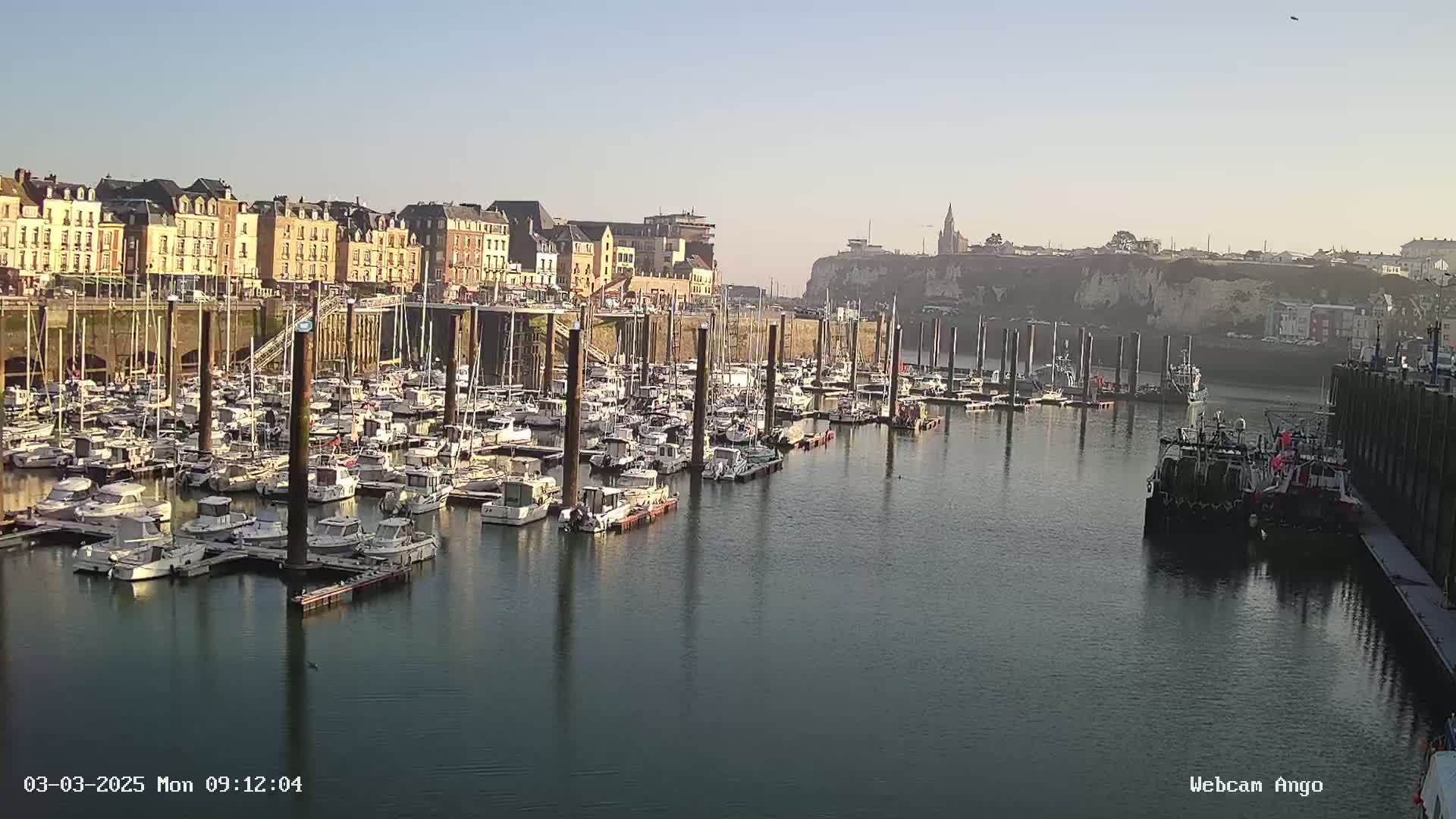 A calm harbor filled with numerous boats is situated next to a town of multi-story buildings and cliffs under a clear, bright sky.