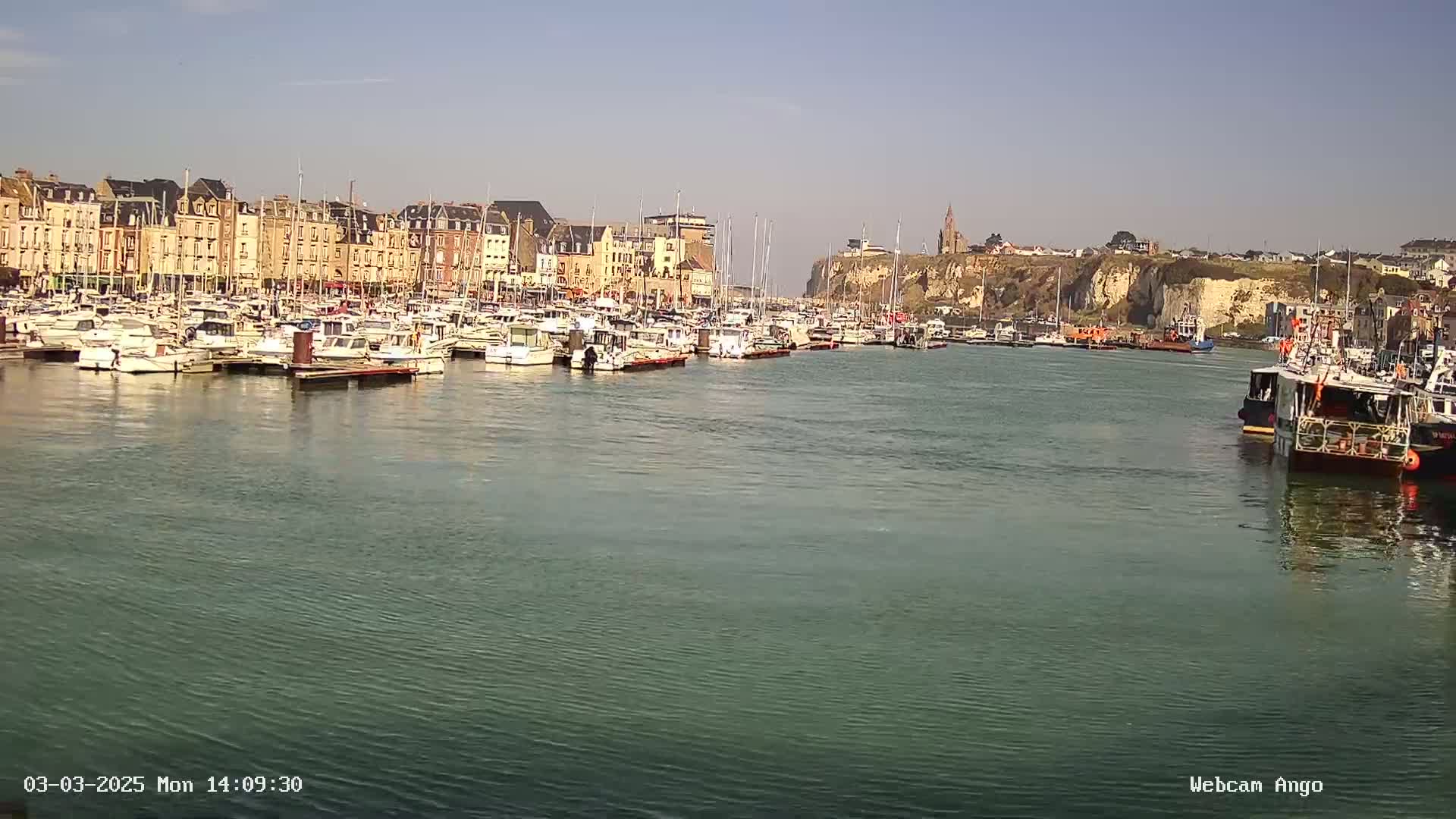 A harbor filled with numerous boats is situated in front of a town with multi-story buildings, all under a sunny sky.
