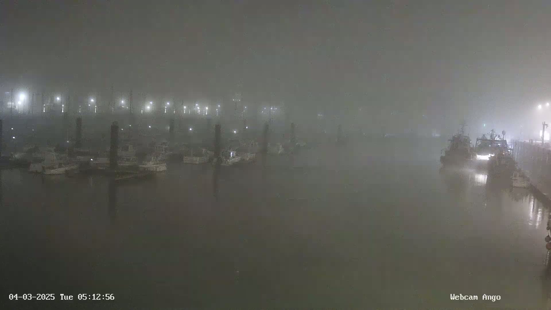 A foggy nighttime scene shows several boats moored at a dock under dim lighting.