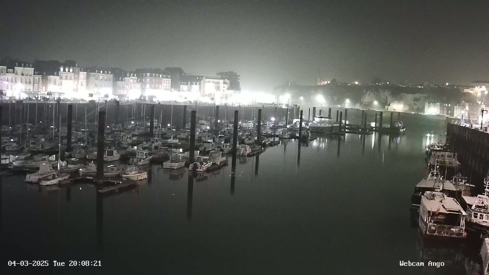 A foggy night scene shows a marina filled with numerous boats moored at docks, with buildings illuminated in the background.