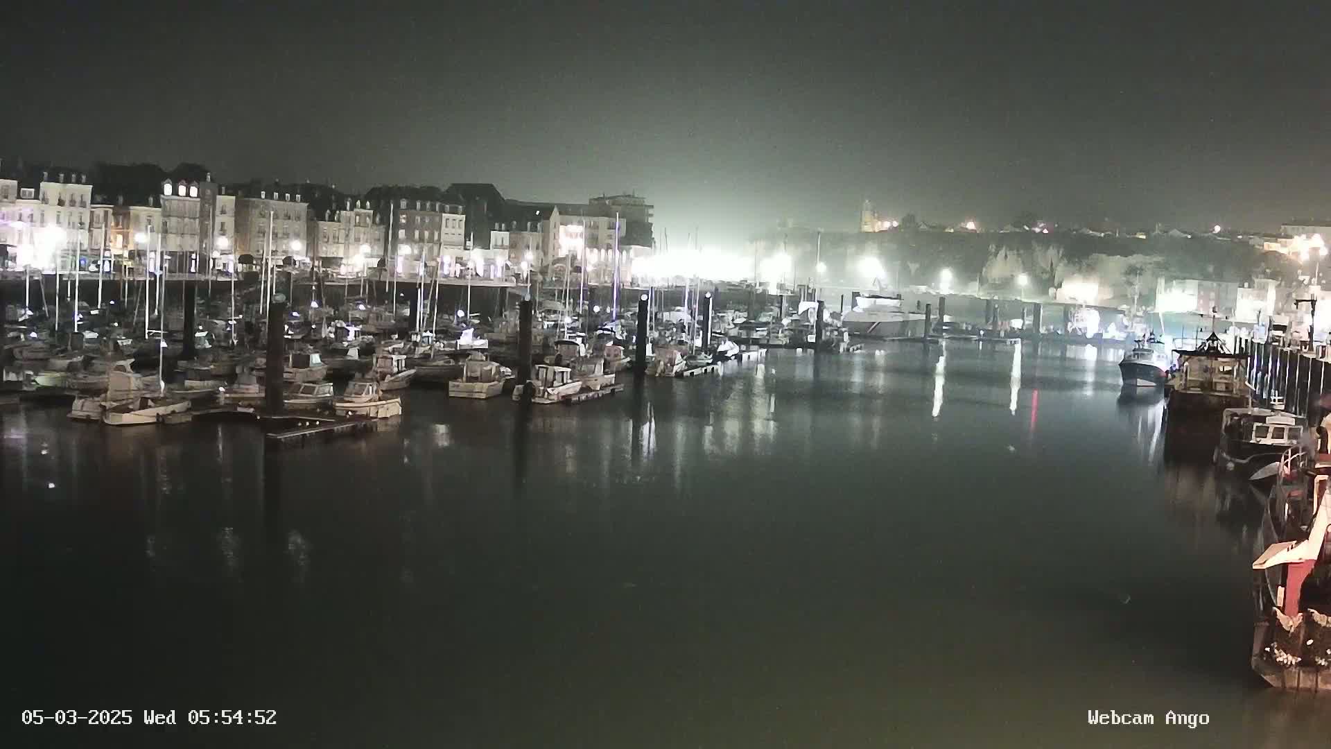 A harbor filled with numerous boats at night under foggy conditions, with buildings illuminated along the waterfront.
