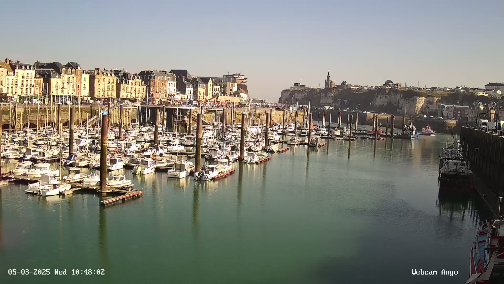 A harbor filled with numerous boats is situated beside a town of multi-story buildings under a sunny sky.