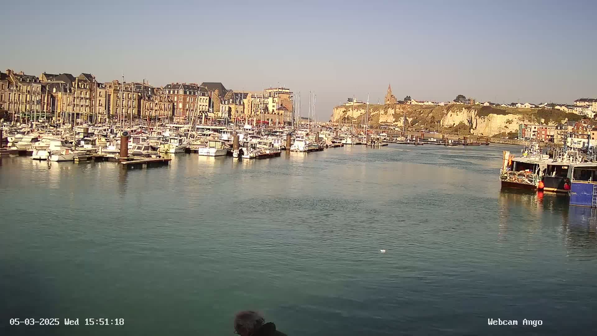 A harbor filled with many docked boats is situated in front of a town built along a cliffside on a sunny day.