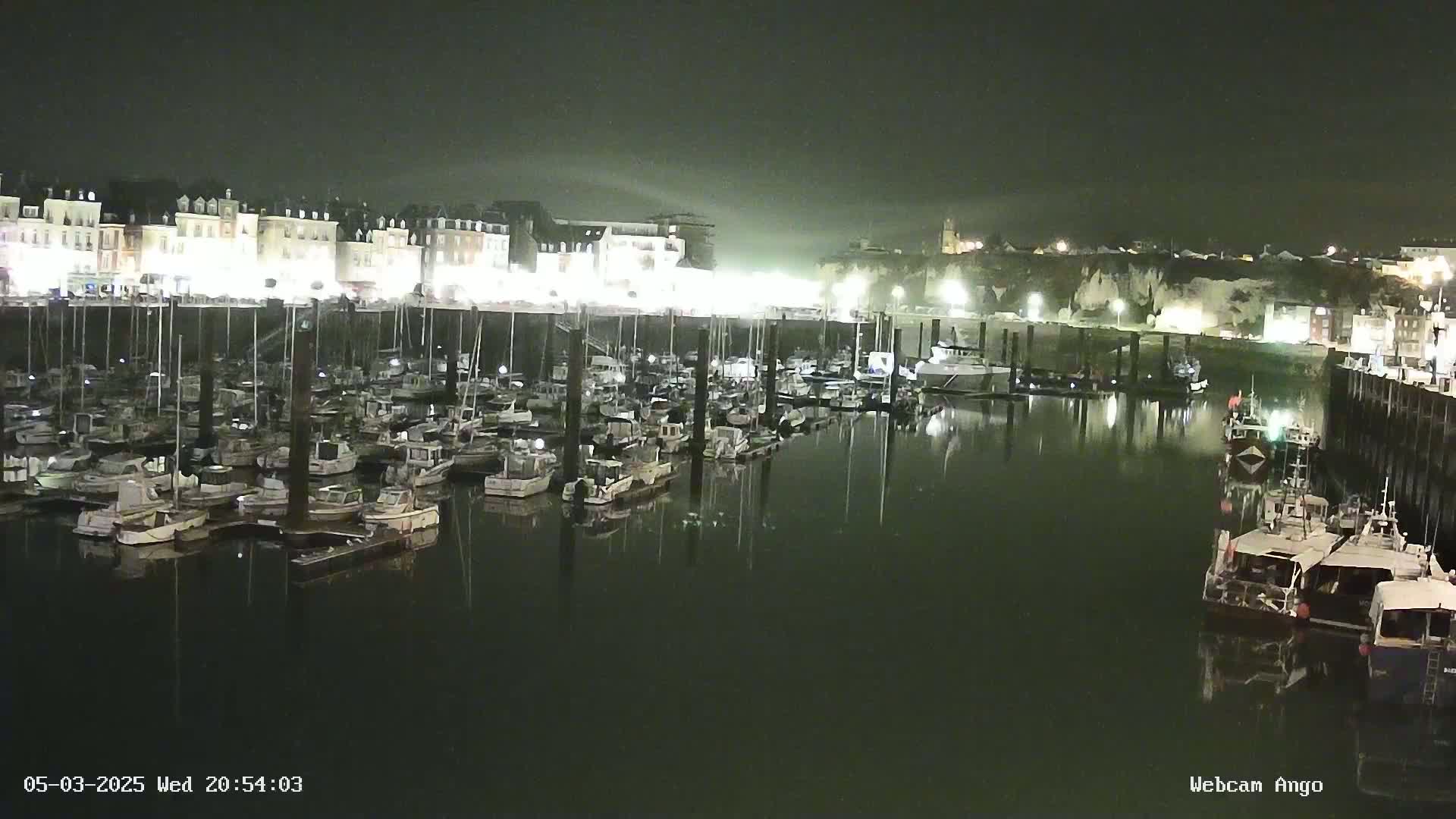 Many boats are docked at a marina at night, illuminated by lights from buildings along the waterfront under a dark, possibly foggy sky.
