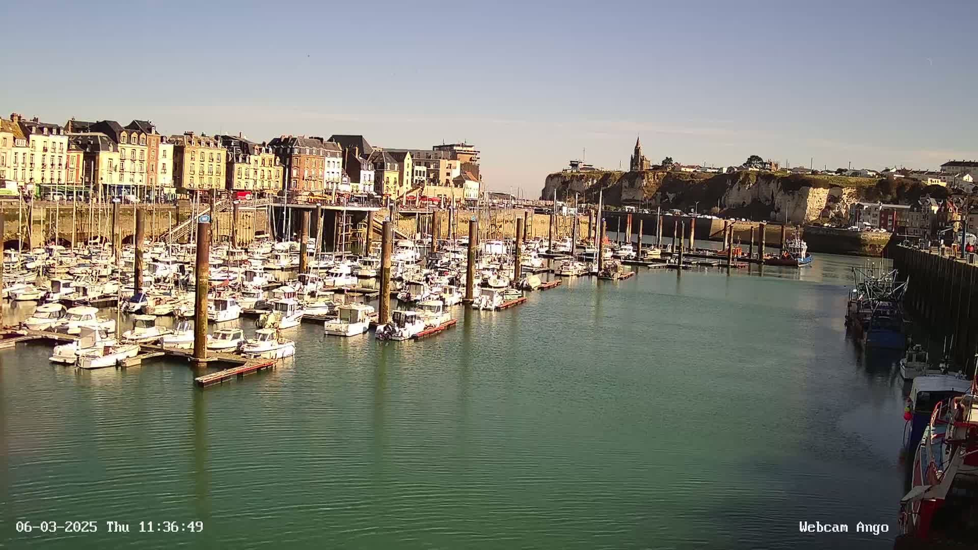 A marina filled with numerous boats is situated in front of a town with buildings lining the waterfront under sunny skies.
