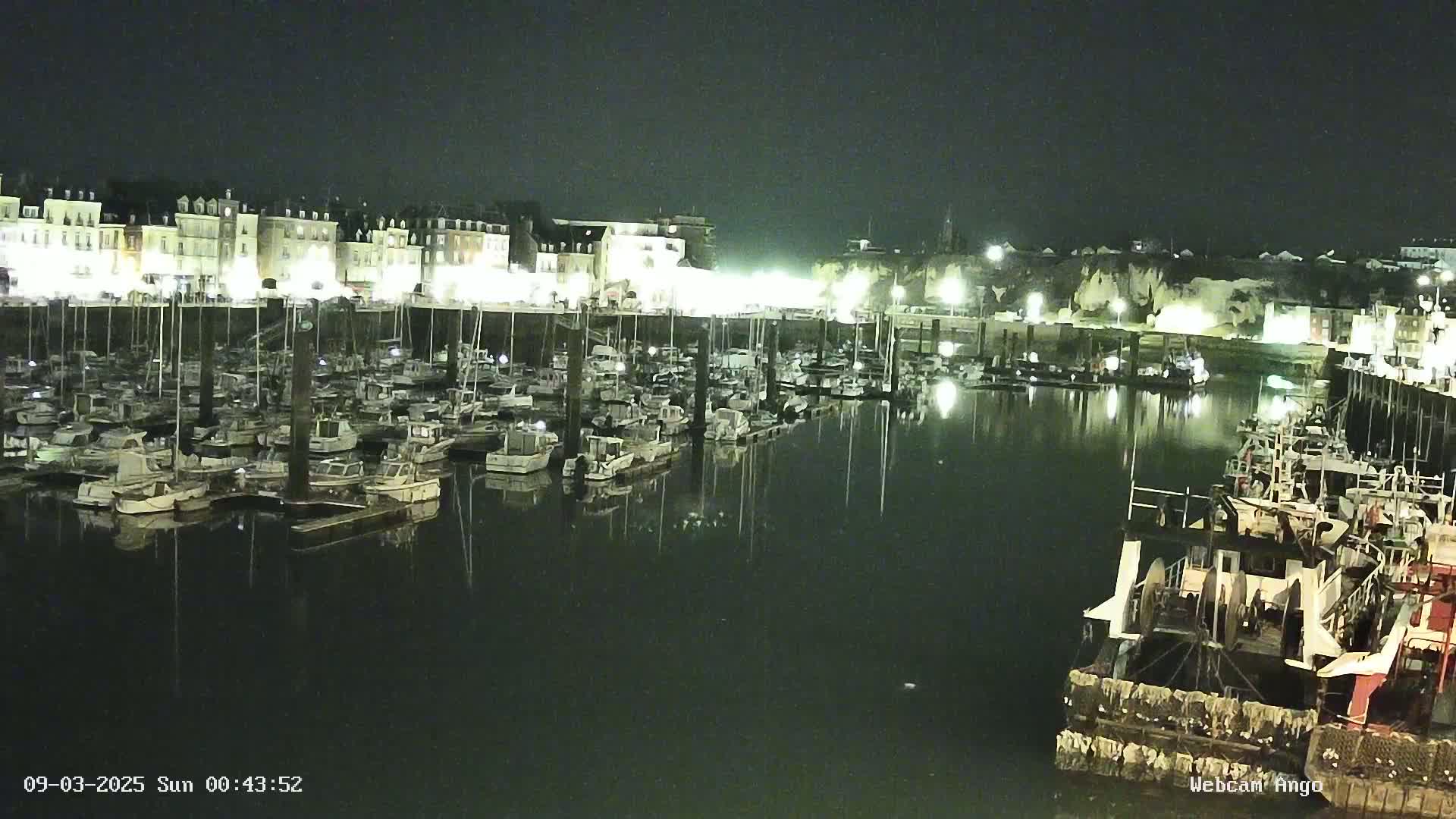 A nighttime view of a harbor filled with numerous boats docked along a waterfront lined with buildings under a dark sky.