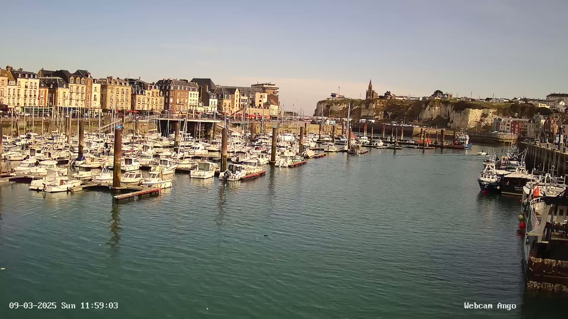 A harbor filled with numerous boats is situated in front of a town built along a cliffside on a sunny day.