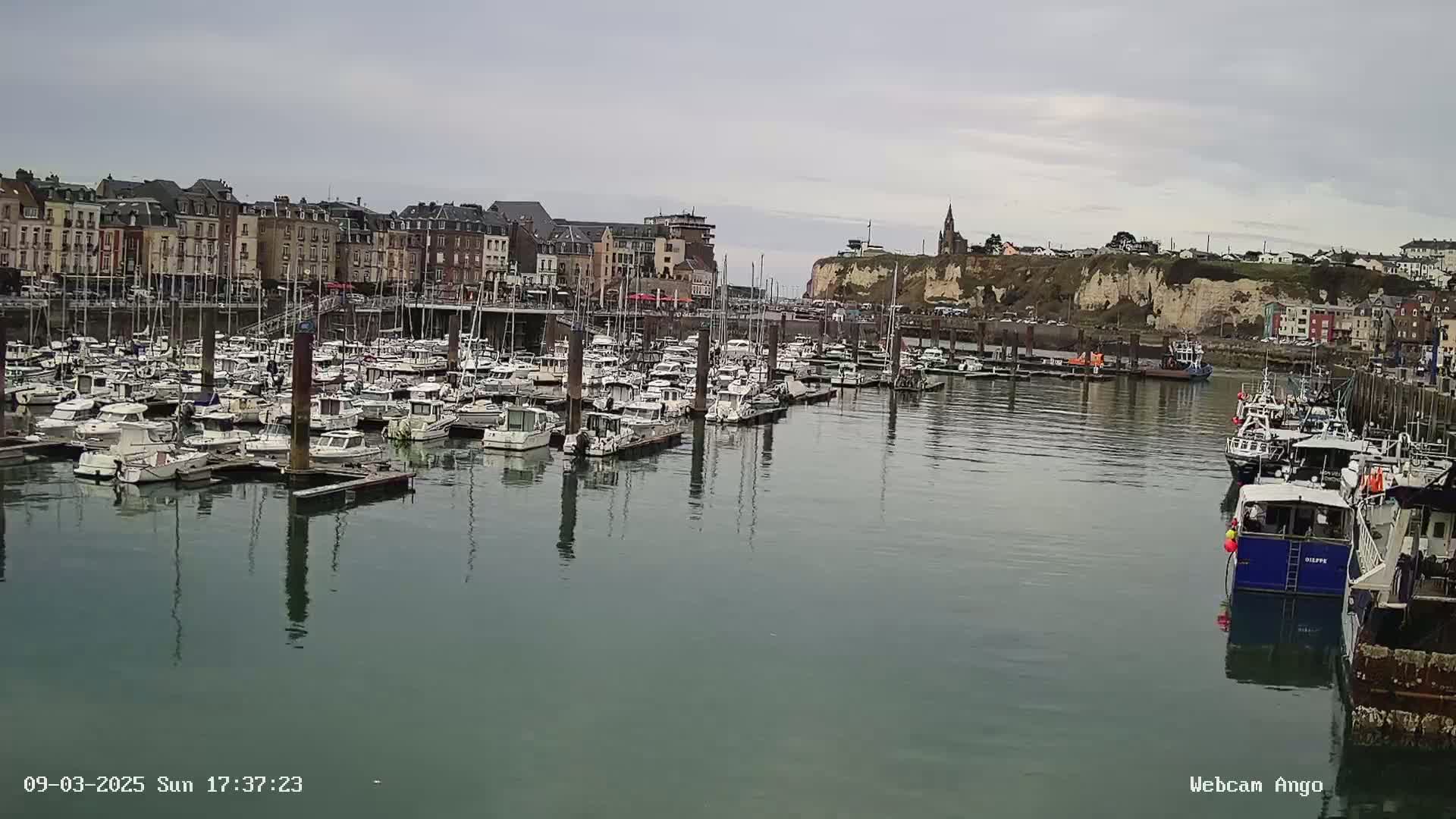 A harbor filled with numerous boats is situated in front of a town with multi-story buildings under a cloudy sky.