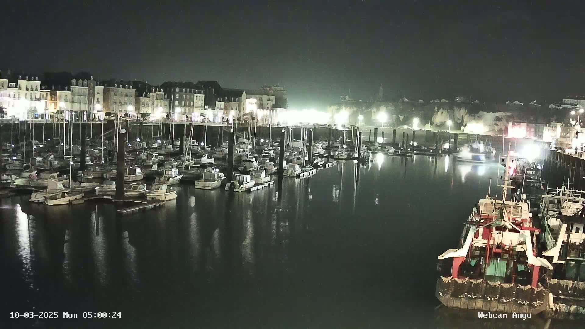 A nighttime view of a marina filled with boats, docked alongside a waterfront town under a clear, dark sky.