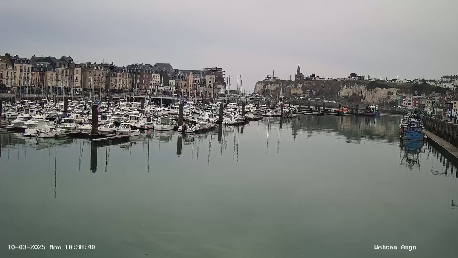 A calm harbor filled with numerous docked boats sits in front of a town built along a cliffside under an overcast sky.