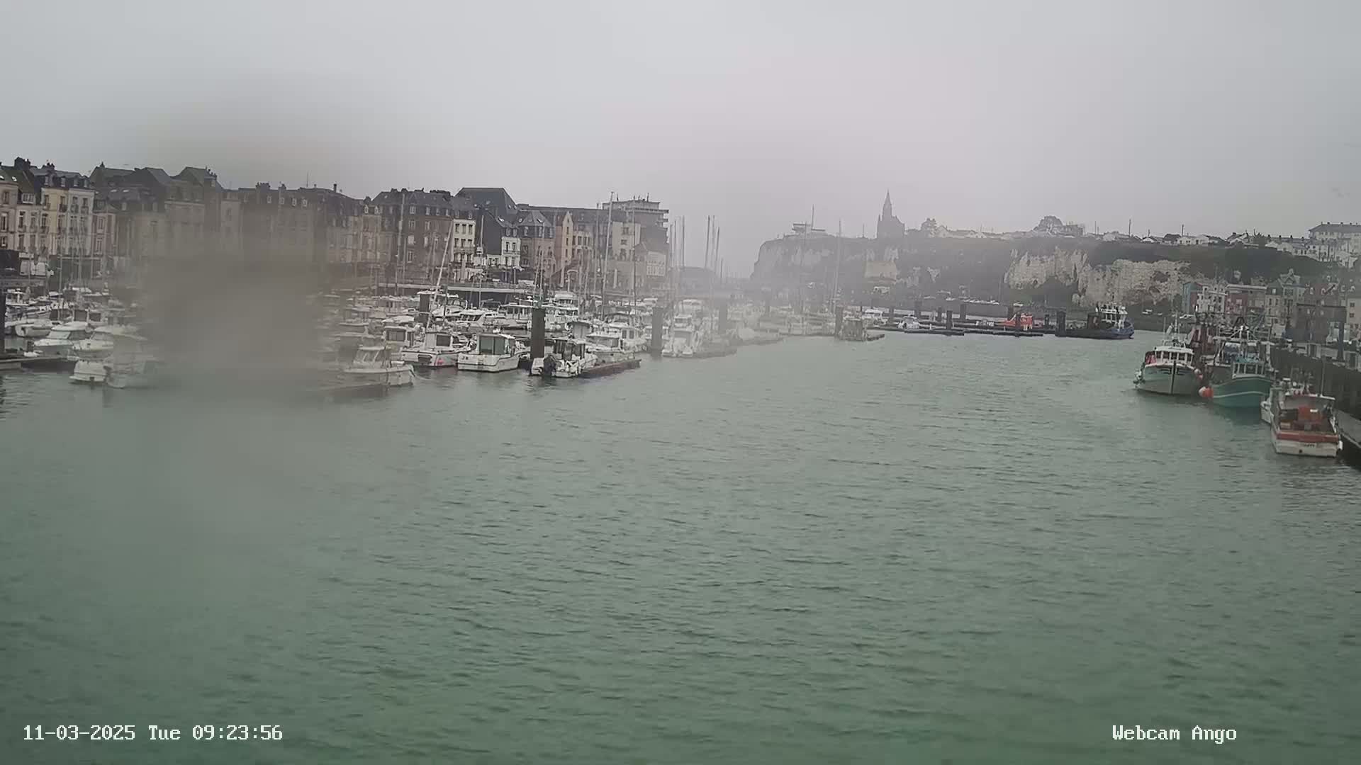 A harbor filled with numerous boats is seen on a foggy day, with buildings lining the waterfront and a cliff in the background.