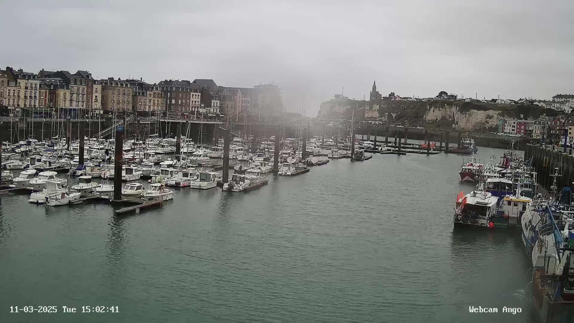 A harbor filled with many docked boats is seen under an overcast sky, with buildings and a cliff in the background.