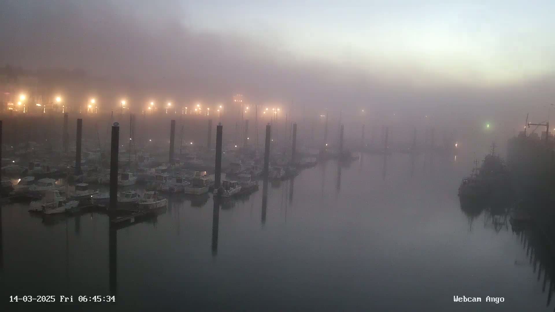 A foggy marina at dawn shows numerous boats moored at docks, illuminated by faint lights.