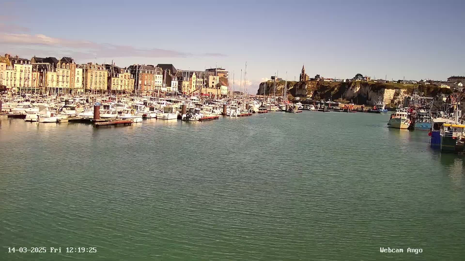 A harbor filled with numerous boats is situated in front of a town with multi-story buildings under a clear, sunny sky.