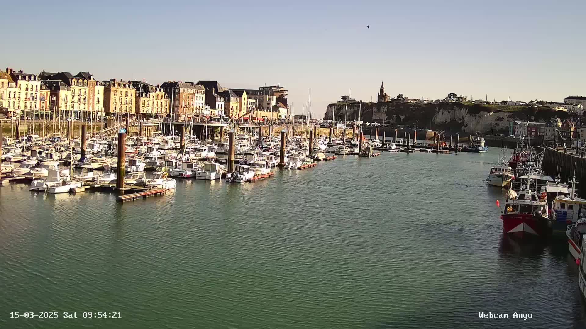 A marina filled with numerous boats is situated in front of a town with buildings lining the waterfront, all under a clear, sunny sky.