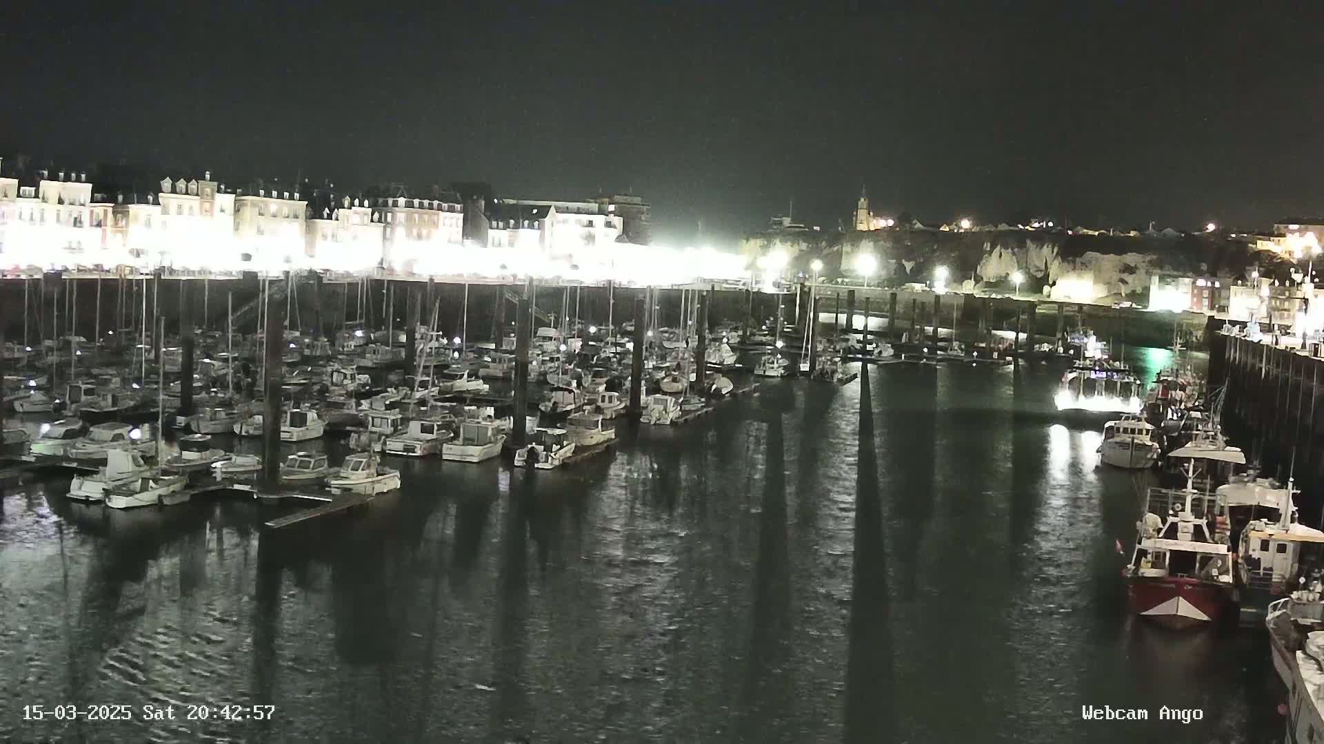 A nighttime view of a harbor filled with many boats moored at docks, with buildings illuminated along the waterfront under a dark sky.