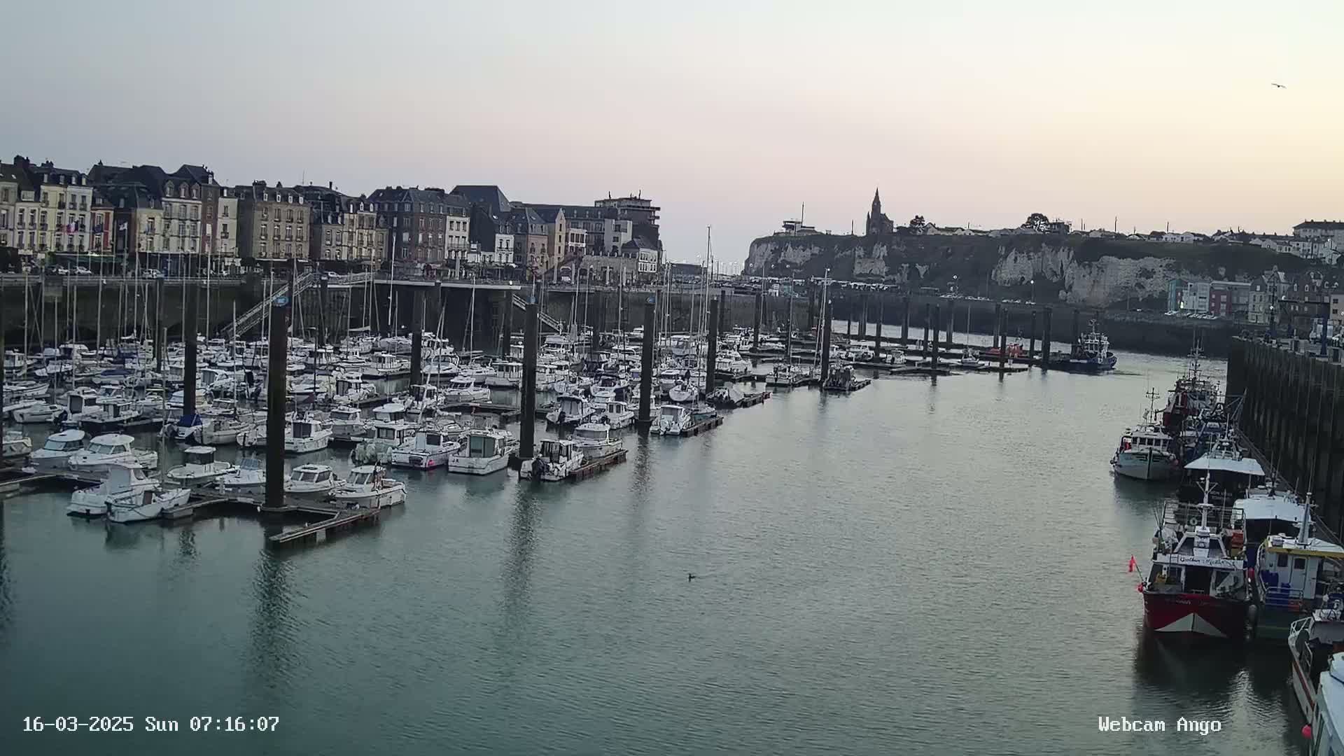 Many boats are docked in a harbor next to a town under a calm, overcast sky.