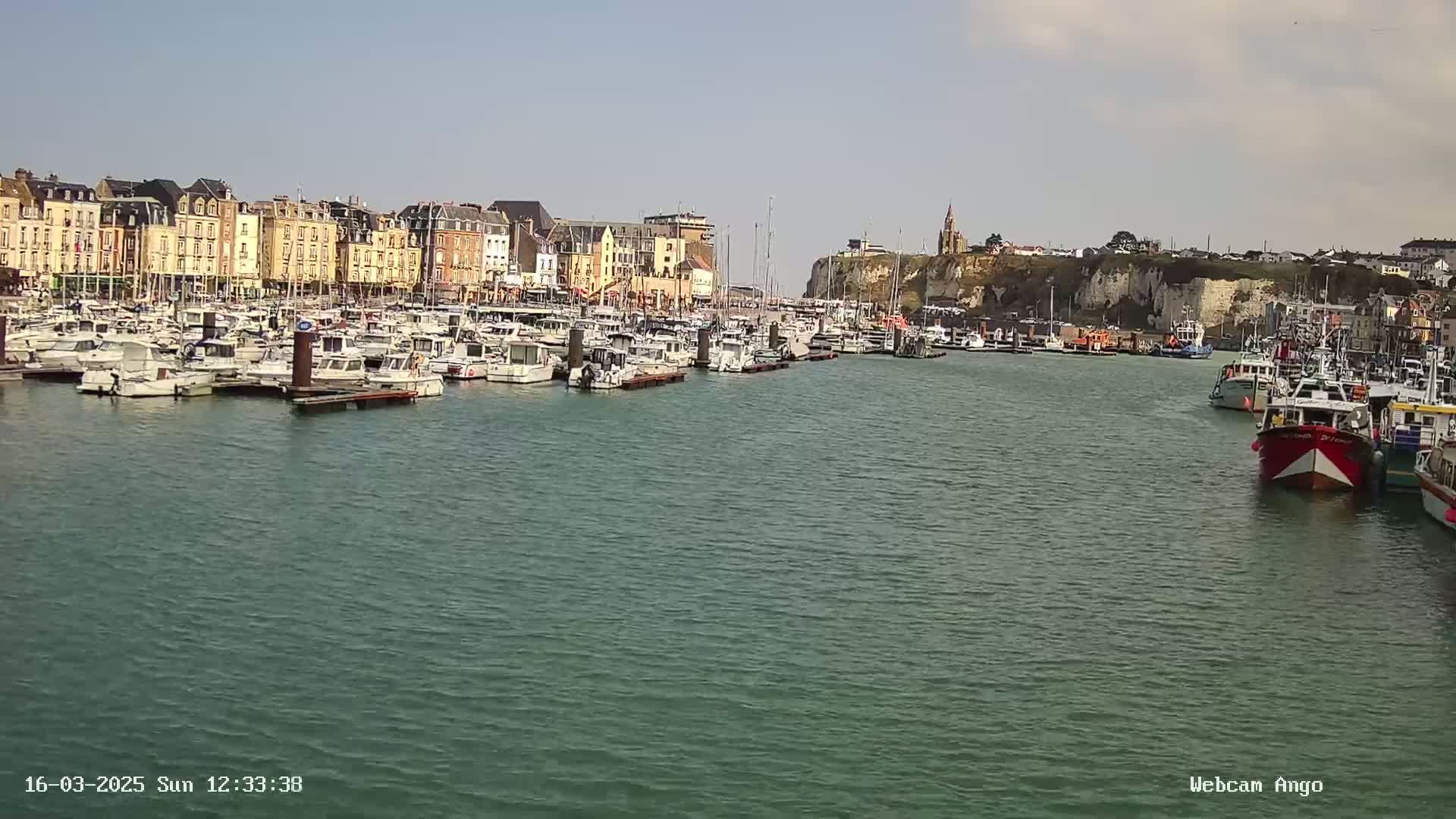 A harbor filled with numerous boats and yachts is situated in front of a town with multi-story buildings, under a mostly clear sky.