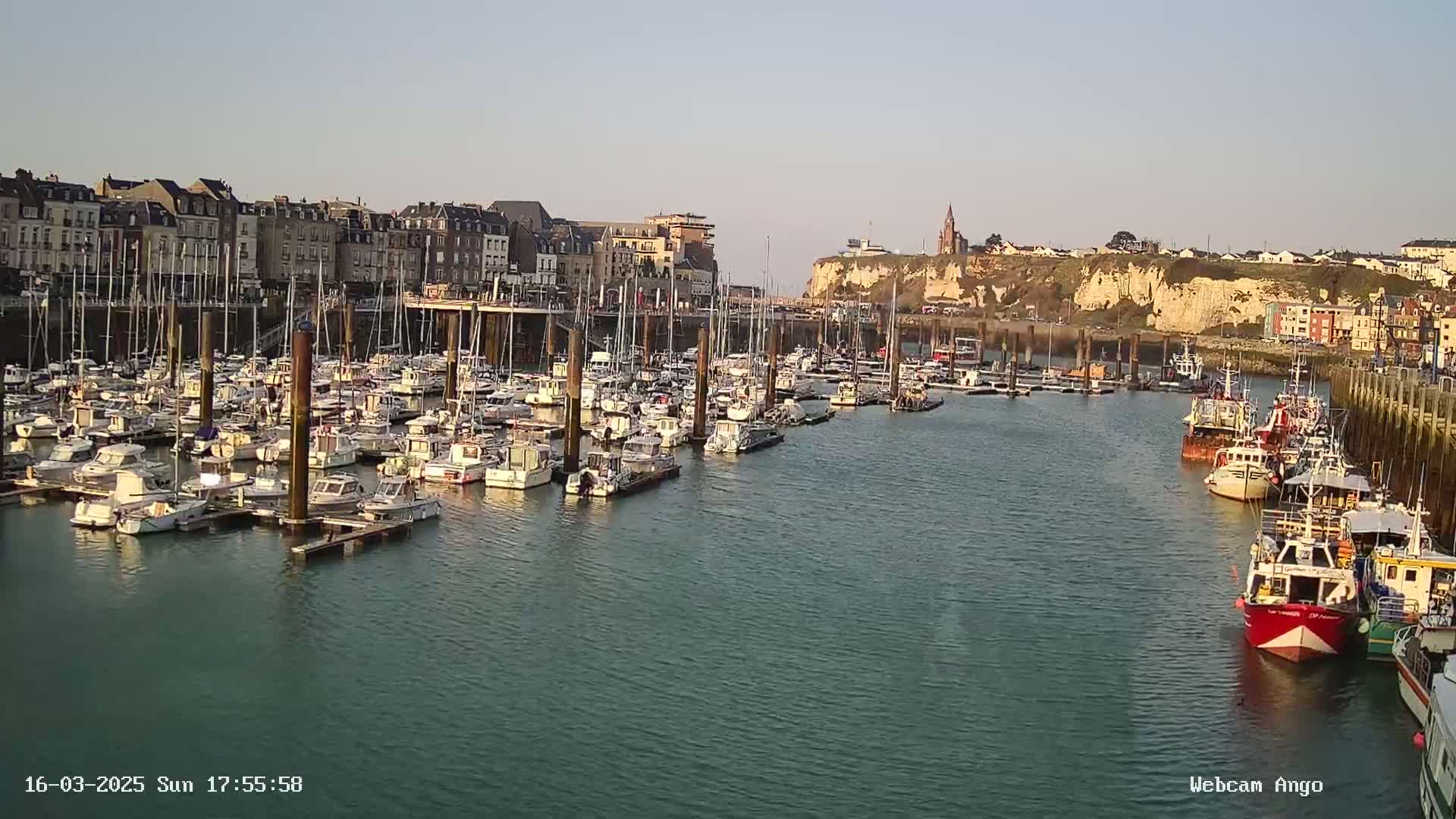 A harbor filled with numerous sailboats and fishing vessels is situated in front of a town built along a cliffside, under a clear sky.