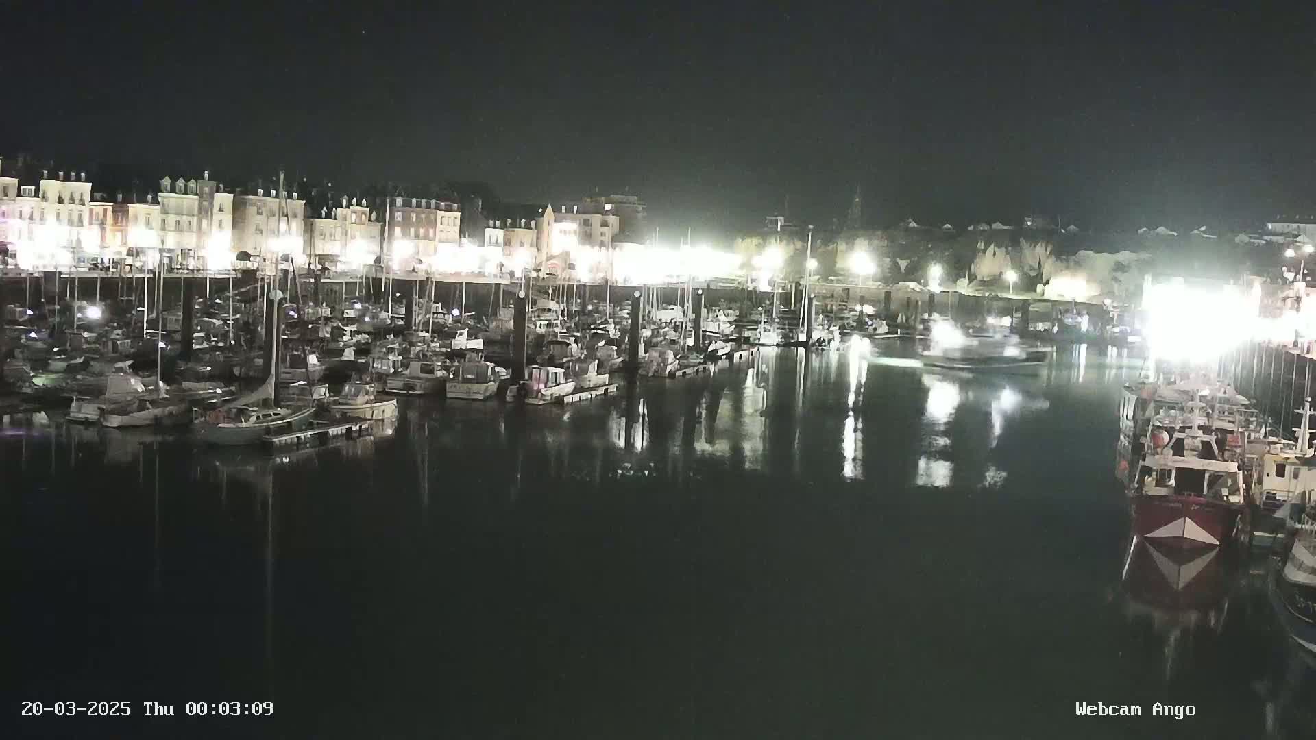 A nighttime view of a harbor filled with numerous boats moored alongside a waterfront lined with buildings.