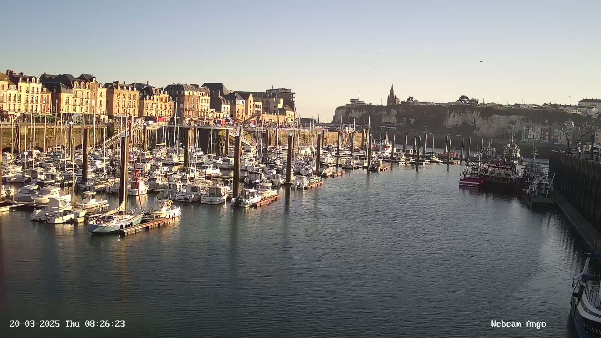 A harbor filled with numerous boats and yachts is situated in front of a town with multi-story buildings, all under a clear, sunny sky.