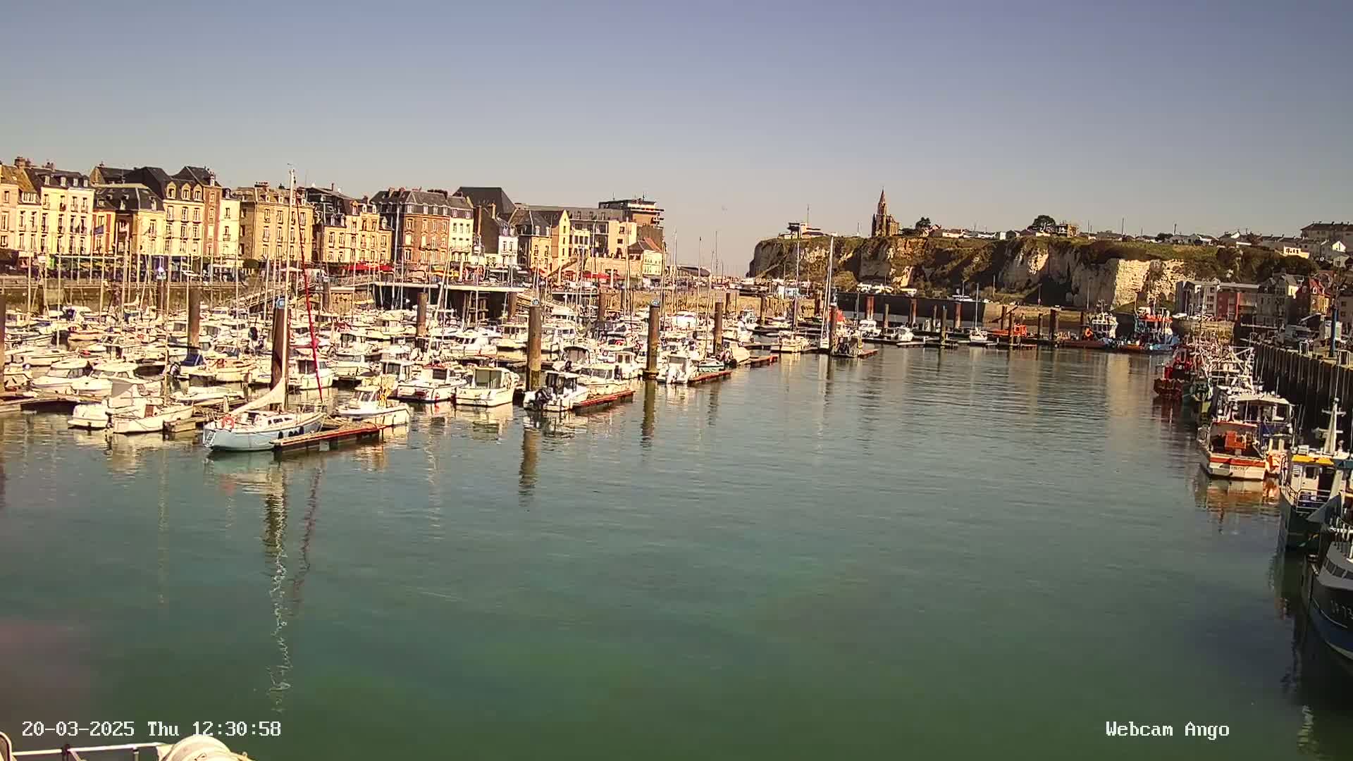 A harbor filled with numerous boats is situated in front of a town on a sunny day.