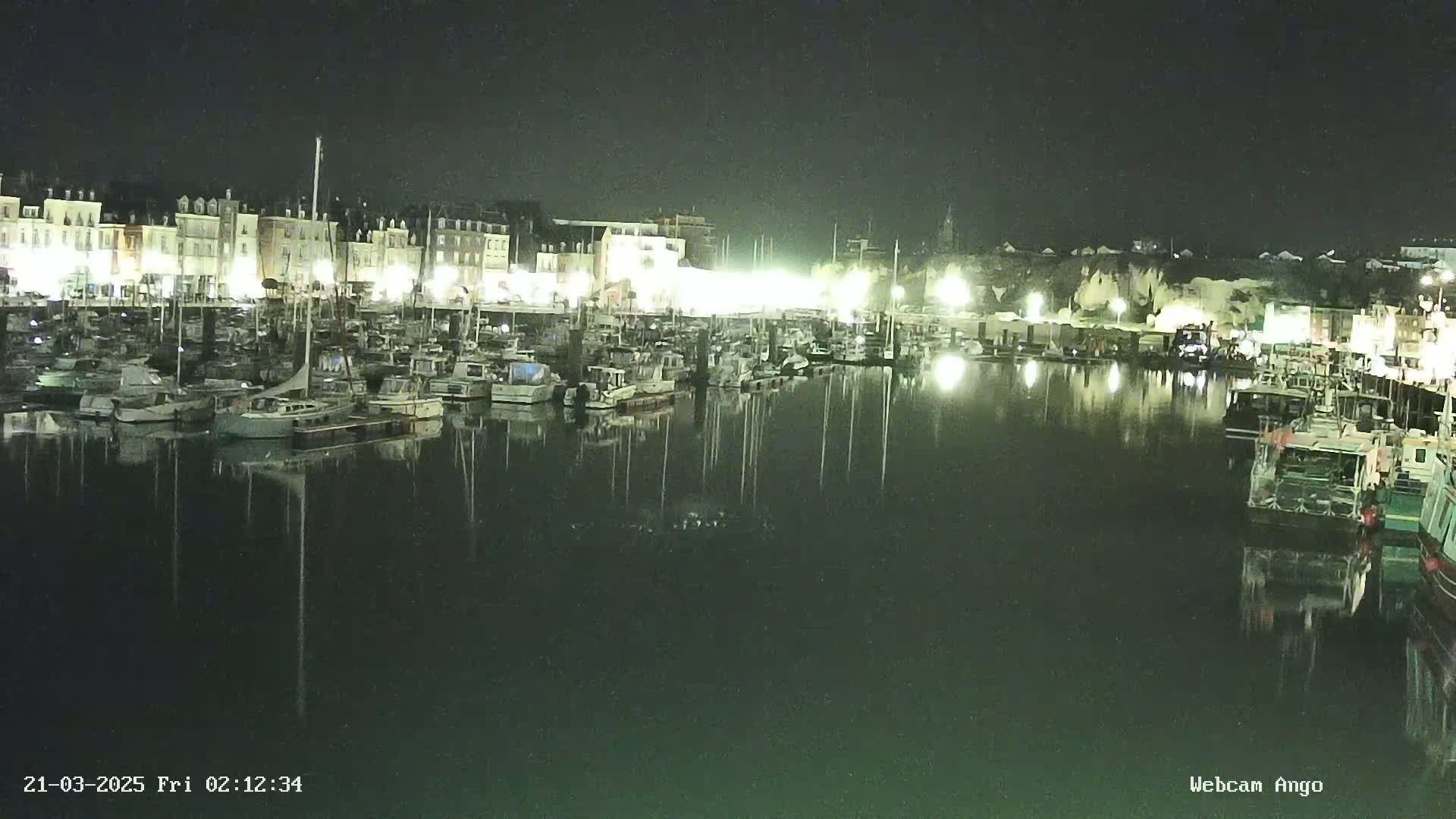 A nighttime view of a harbor filled with boats, docked in front of illuminated buildings along a waterfront.