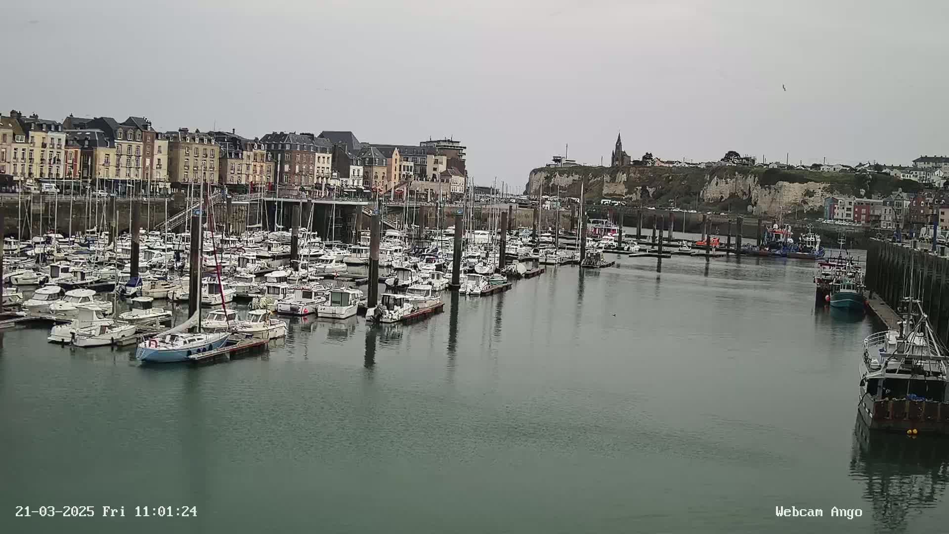 A harbor filled with many boats is nestled beside a town of multi-story buildings under an overcast sky.