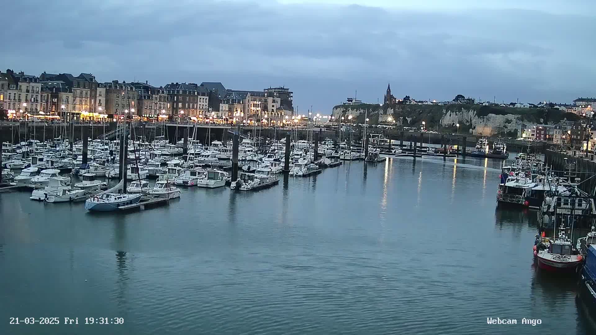 A harbor filled with numerous boats is situated in front of a town under a cloudy, dusky sky.
