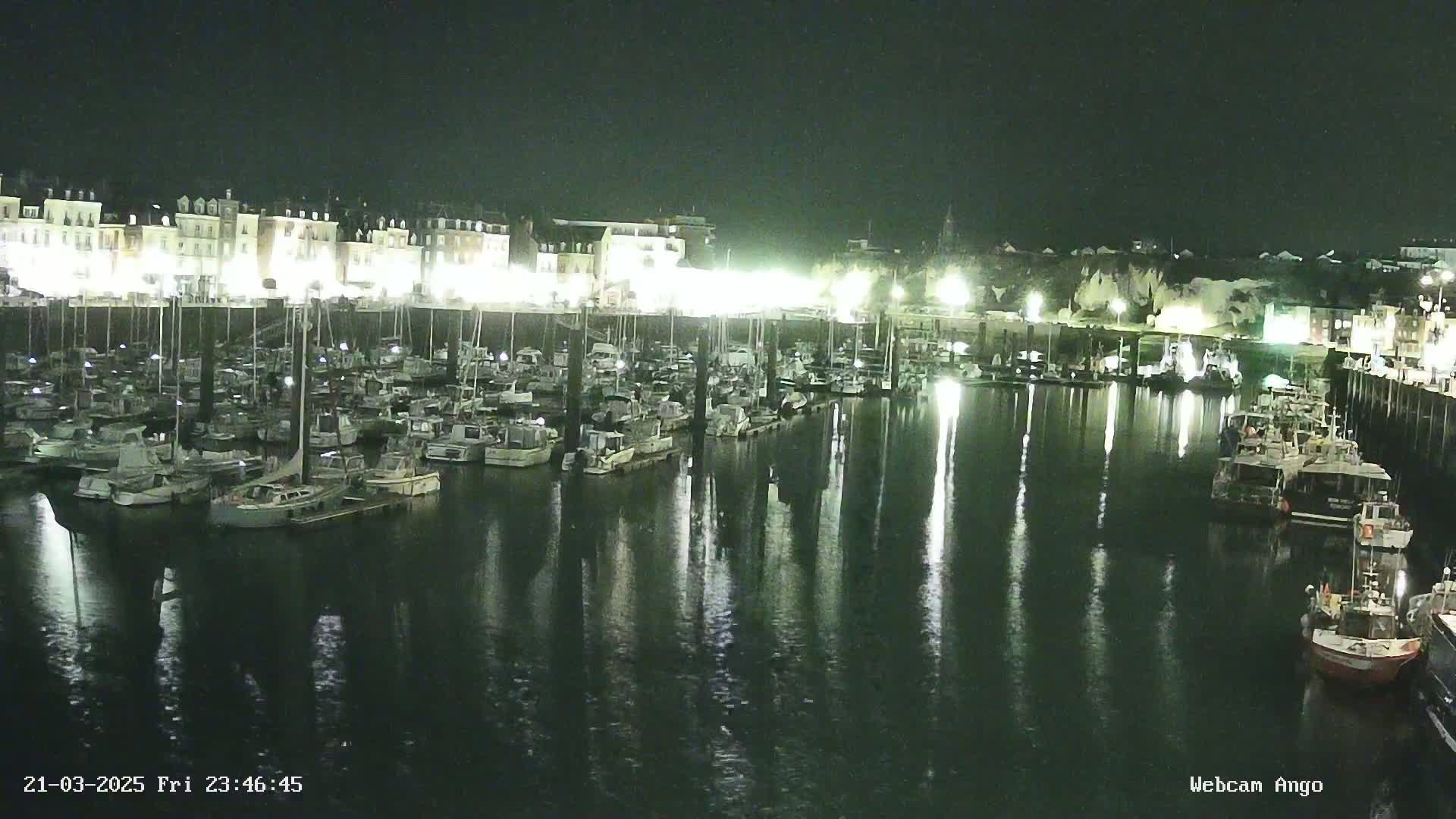 A marina full of boats is illuminated at night, reflecting in calm water, with buildings visible on the far shore.