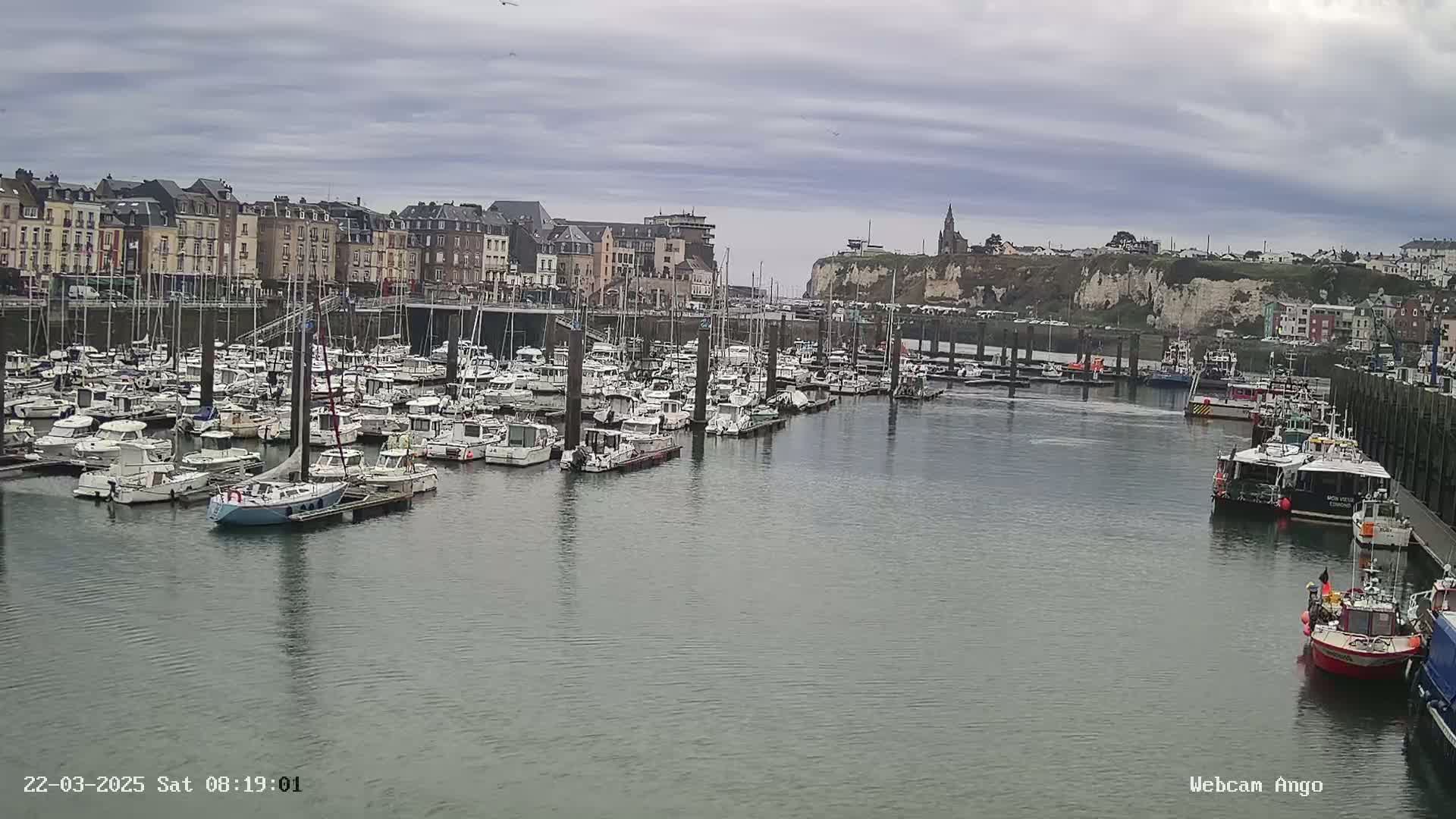 A harbor filled with numerous boats is situated in front of a town built on a cliffside under an overcast sky.