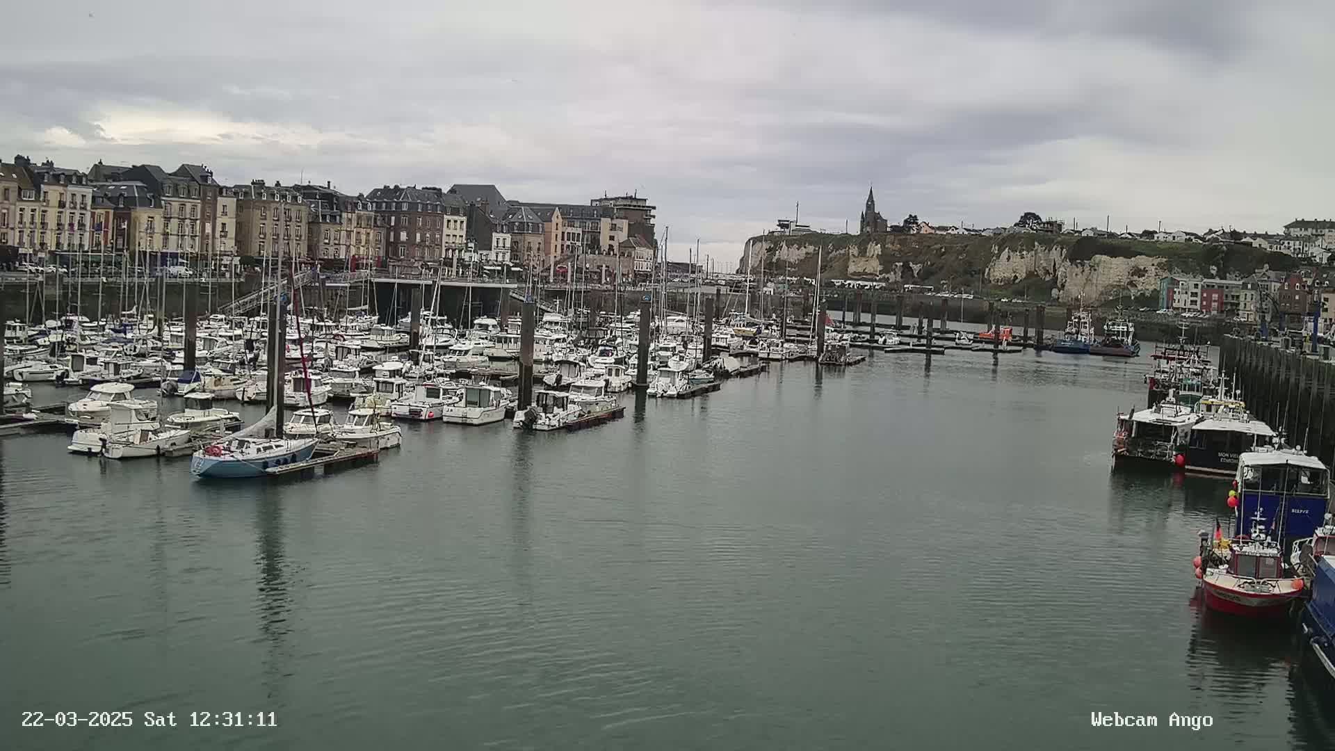 A harbor filled with numerous boats is situated in front of a town under a cloudy sky.