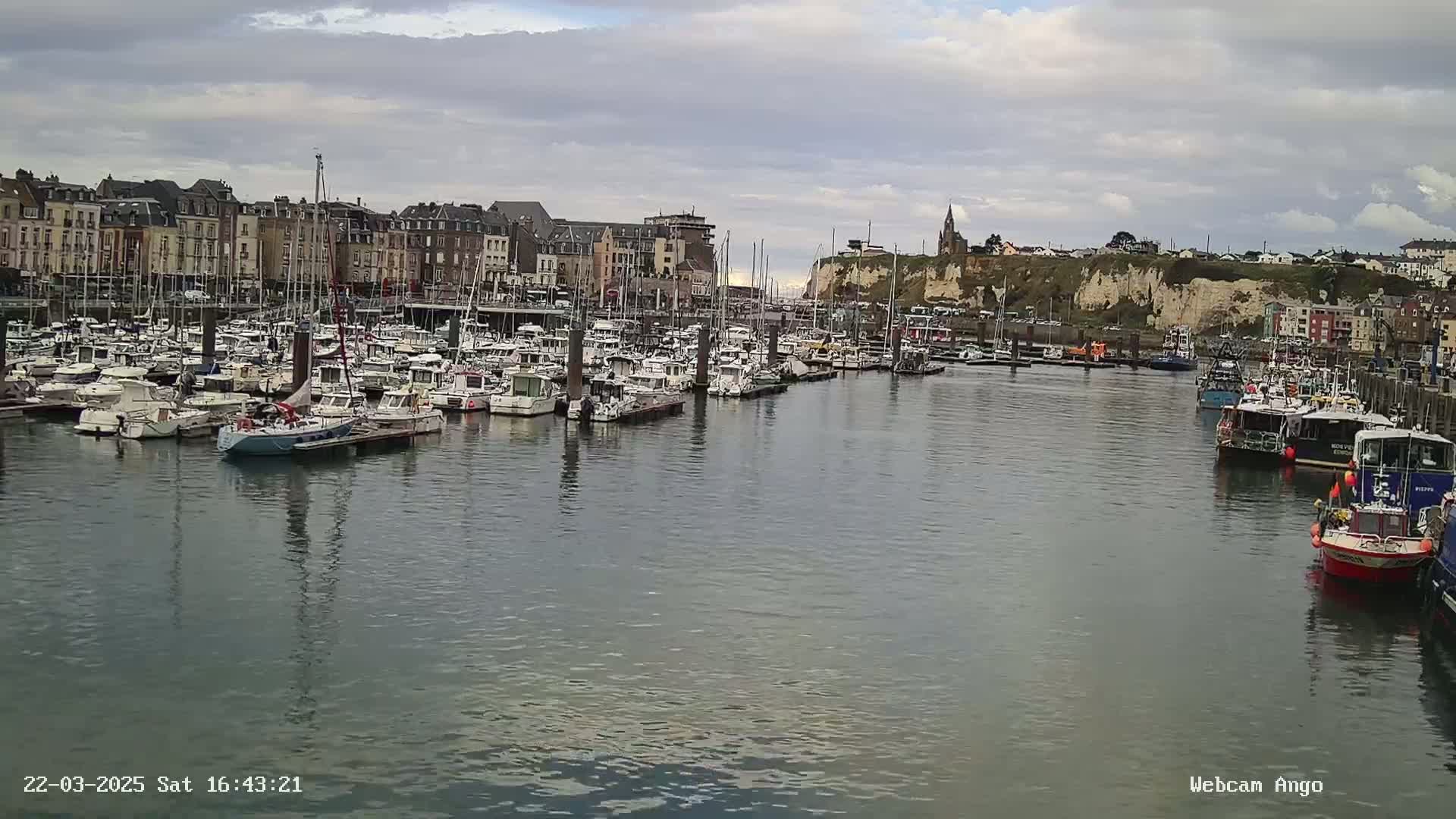 A harbor filled with many boats is situated in front of a town with buildings that line a cliffside under a cloudy sky.