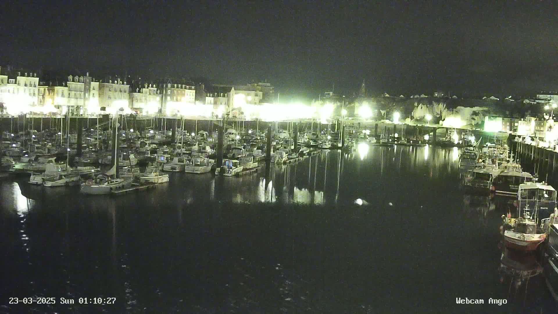 A marina filled with numerous boats is illuminated at night under a dark sky.