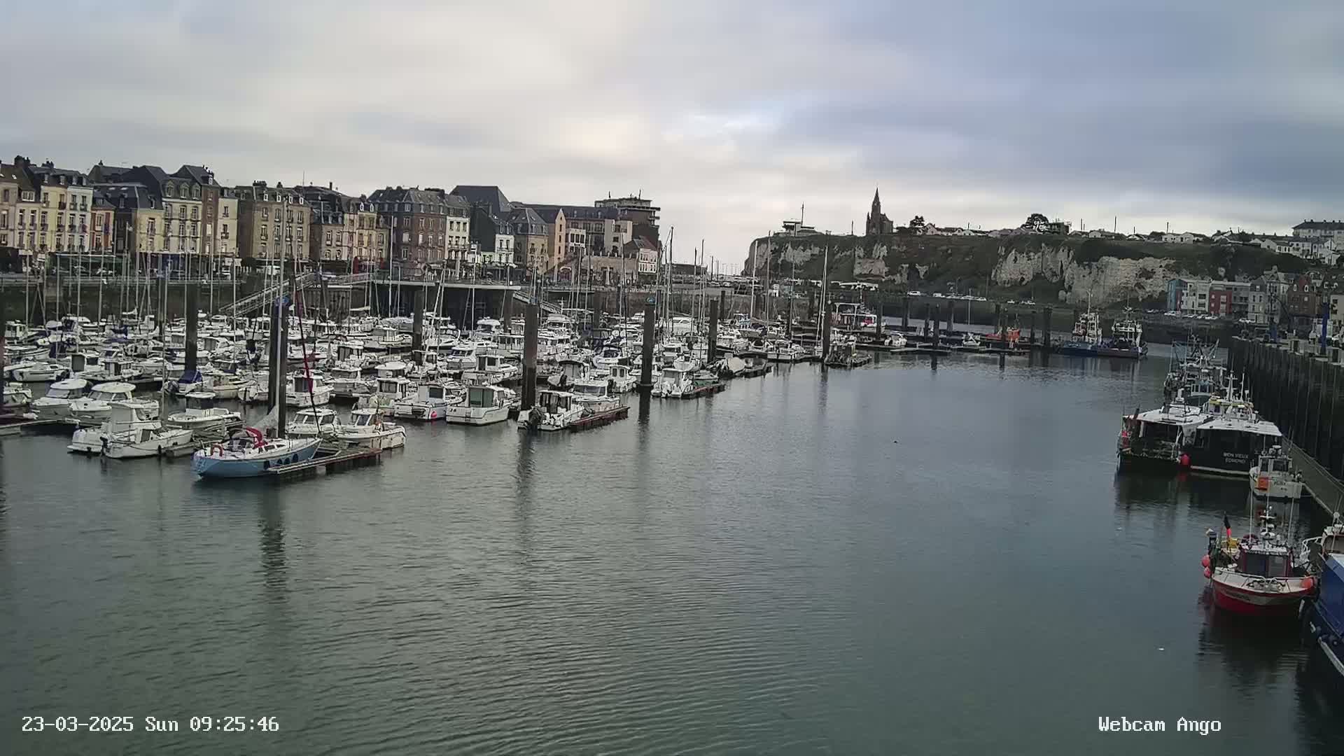 A harbor filled with many docked boats is situated in front of a town built along a cliff face under an overcast sky.