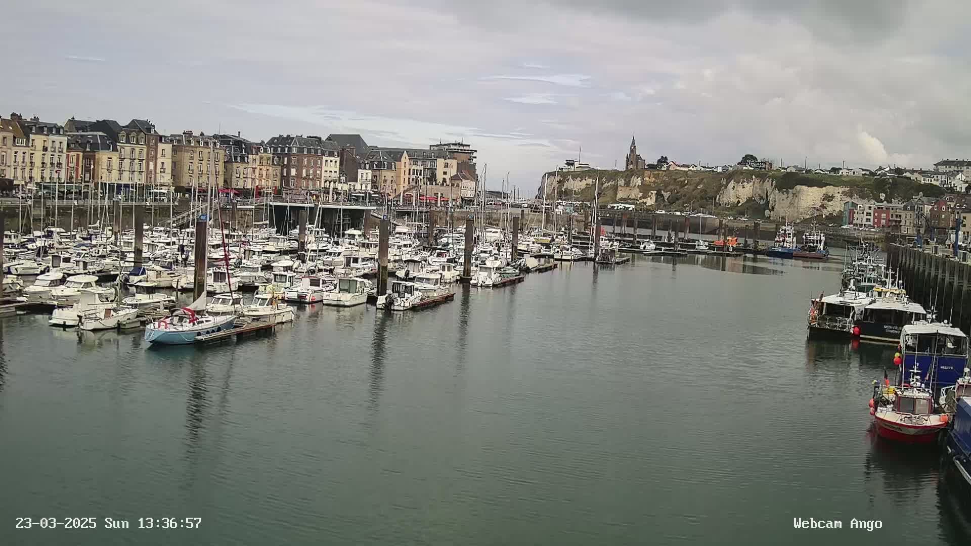 A harbor filled with numerous boats and yachts is situated in front of a town with multi-story buildings under an overcast sky.