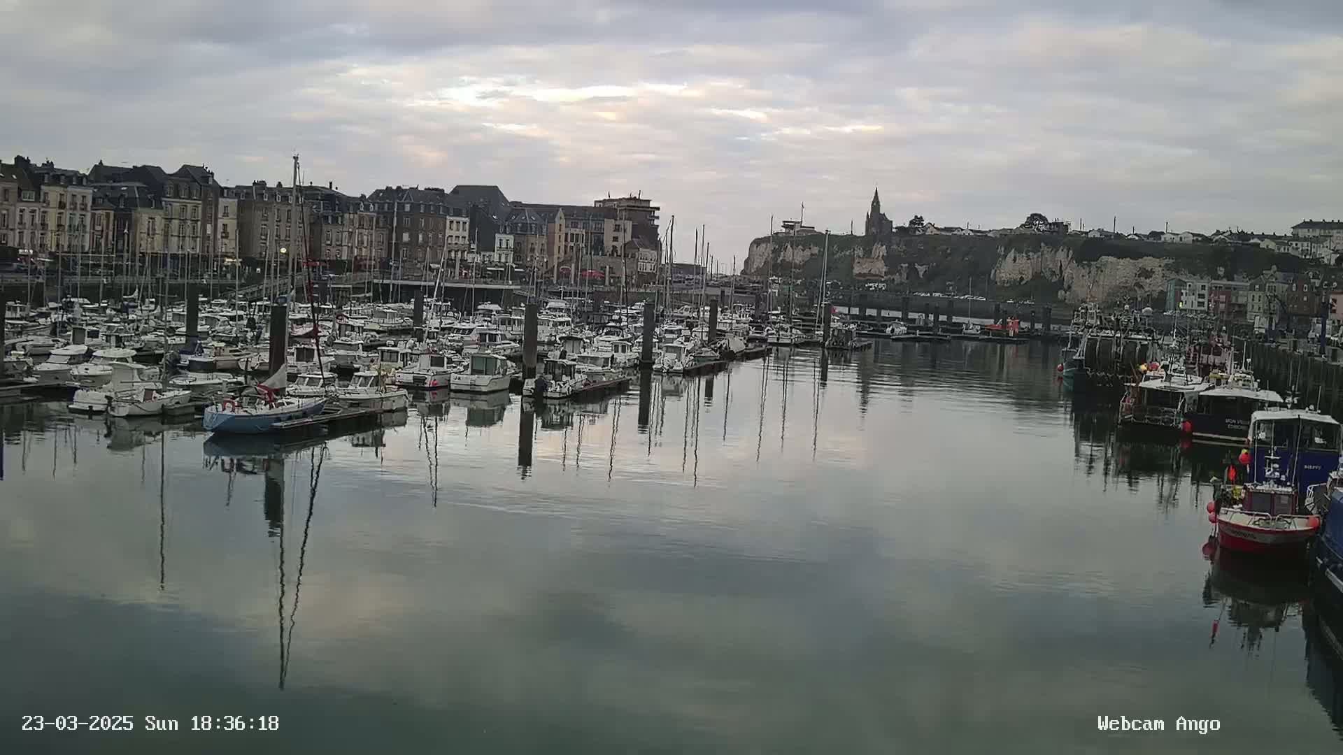 A calm harbor filled with numerous boats is situated before a town of multi-story buildings and a cliffside, under a cloudy sky.
