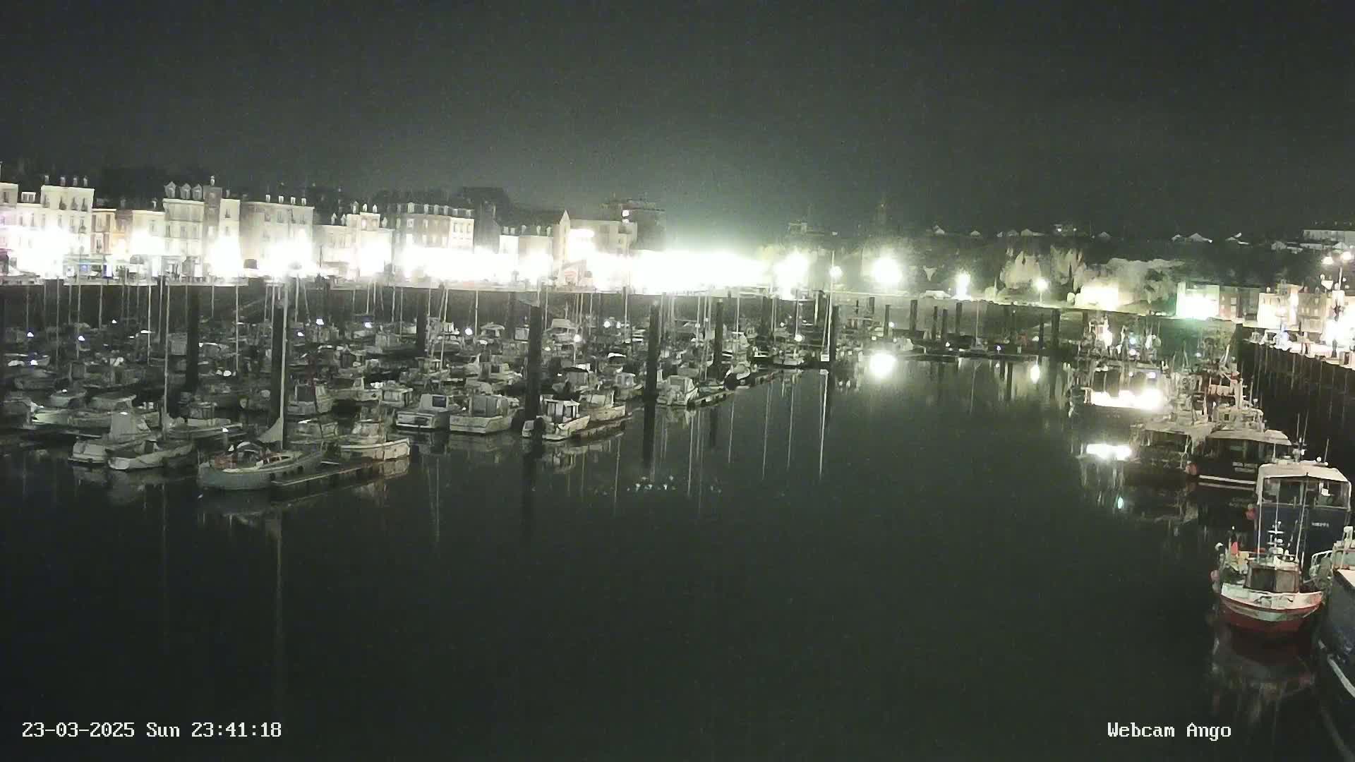 A nighttime view of a harbor filled with numerous boats moored alongside a waterfront lined with illuminated buildings.