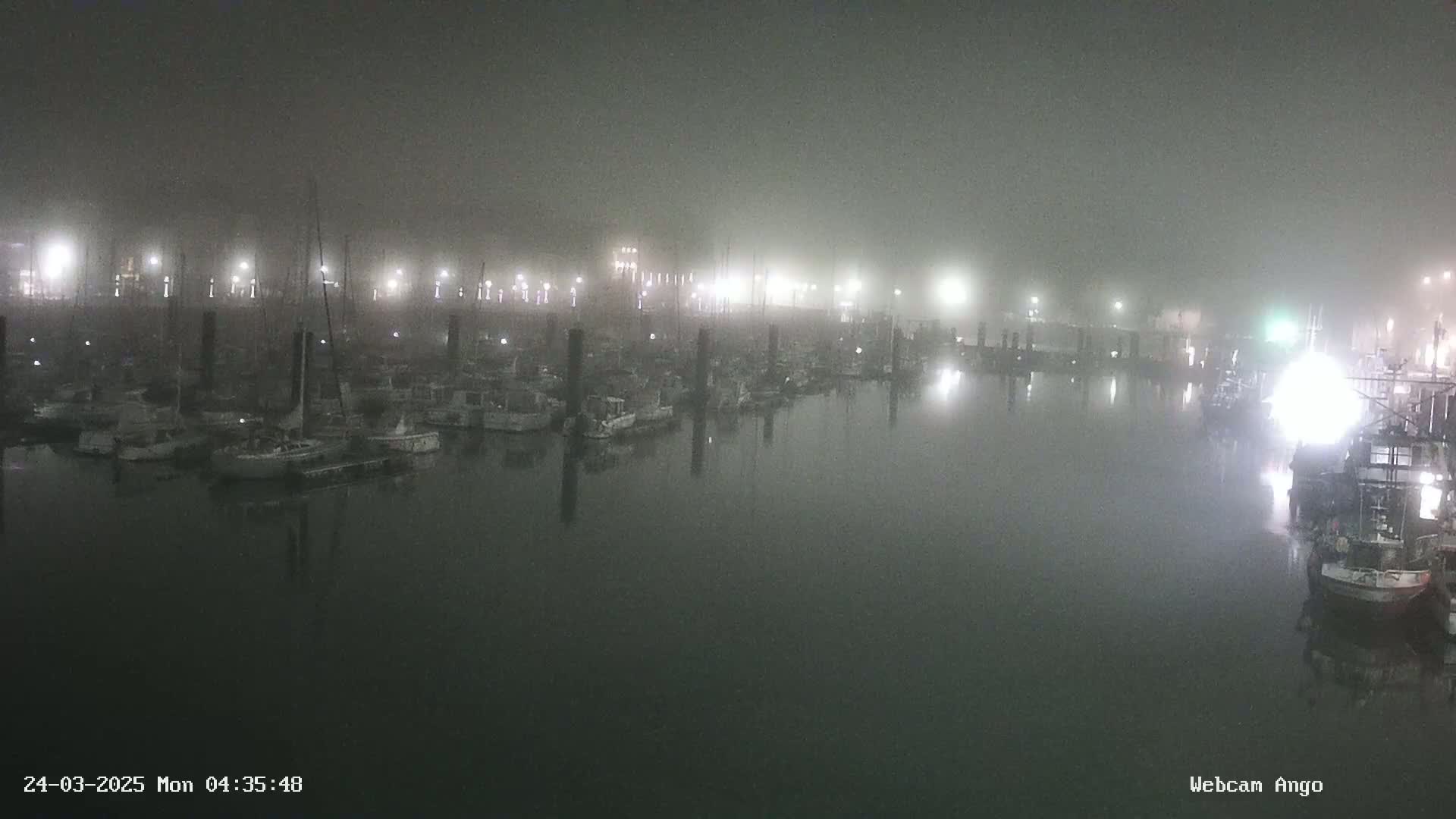 Many boats are docked in a harbor shrouded in thick fog at night.