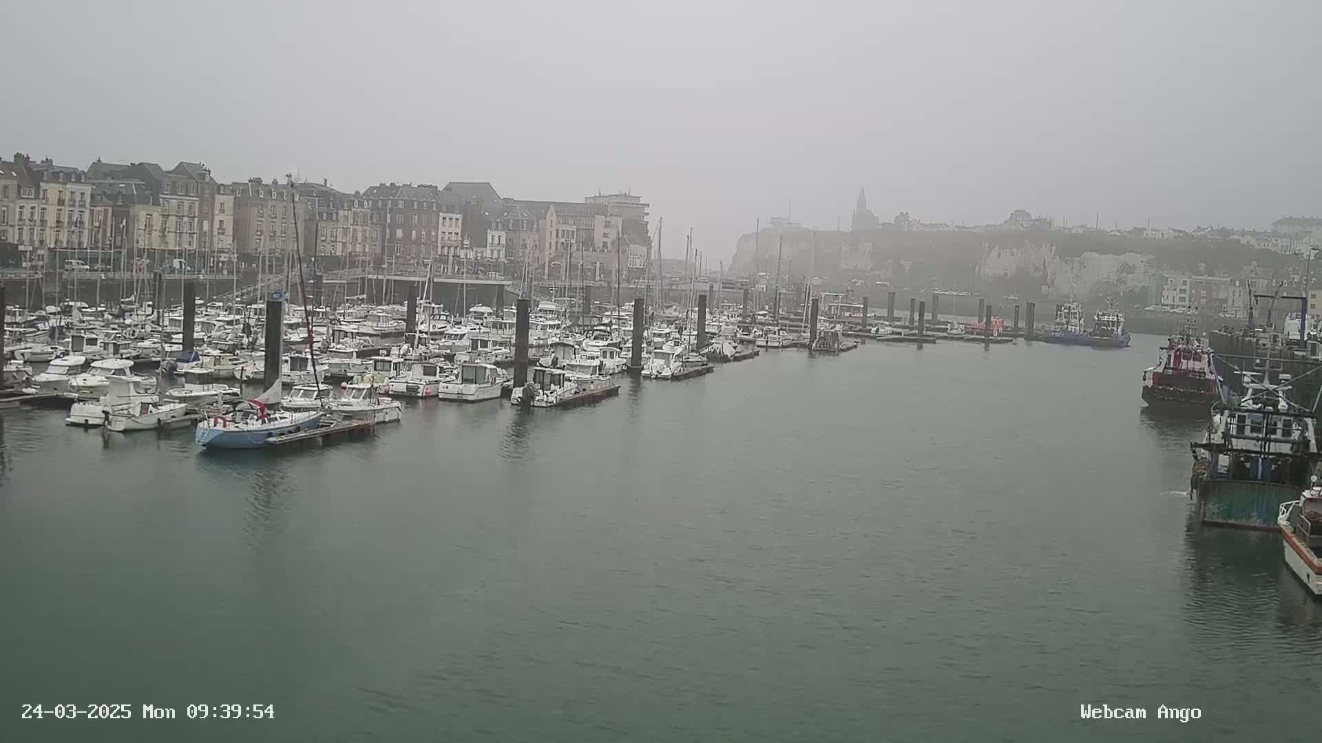 A harbor filled with numerous boats and yachts is visible under a foggy sky.