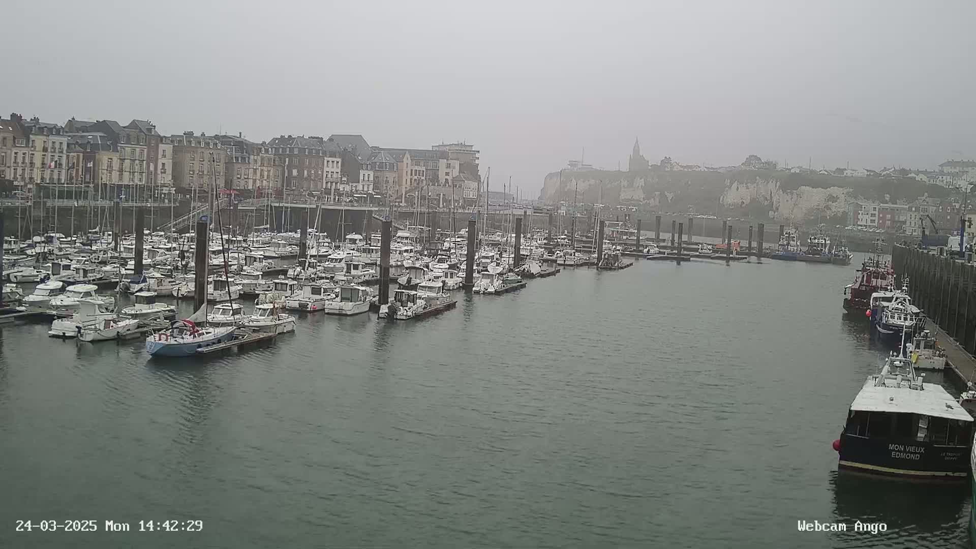 A harbor filled with numerous boats is seen on an overcast day, with buildings lining the shore in the background.