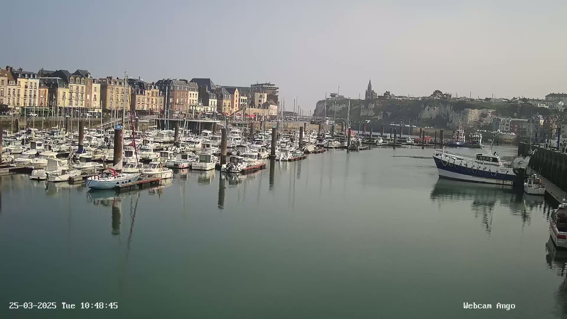 A marina filled with numerous boats is situated in front of a town with multi-story buildings under a clear sky.