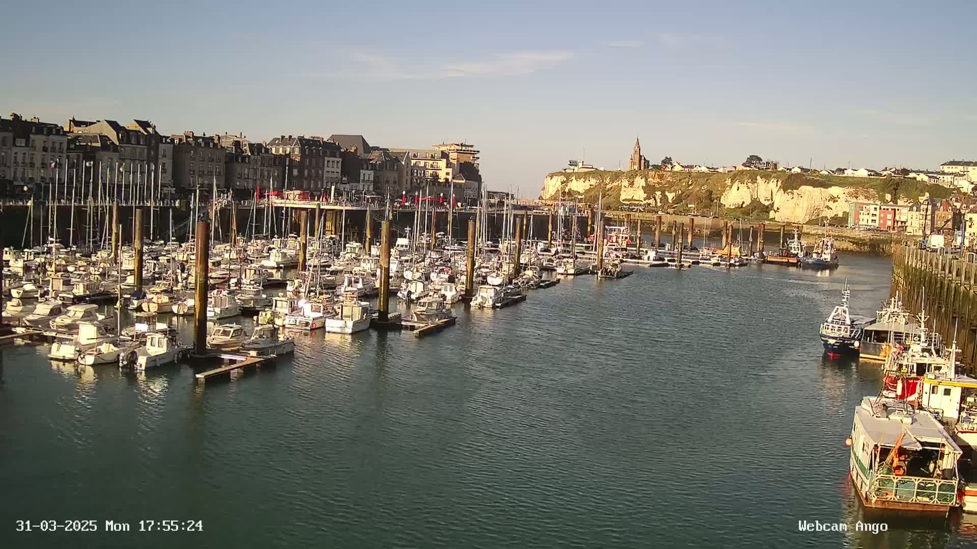 A harbor filled with numerous boats docked at piers, situated below a town built against a cliffside on a sunny day.