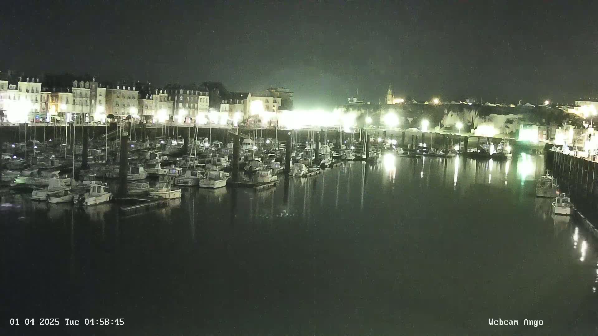 A nighttime view of a harbor filled with numerous boats docked alongside a waterfront lined with buildings.