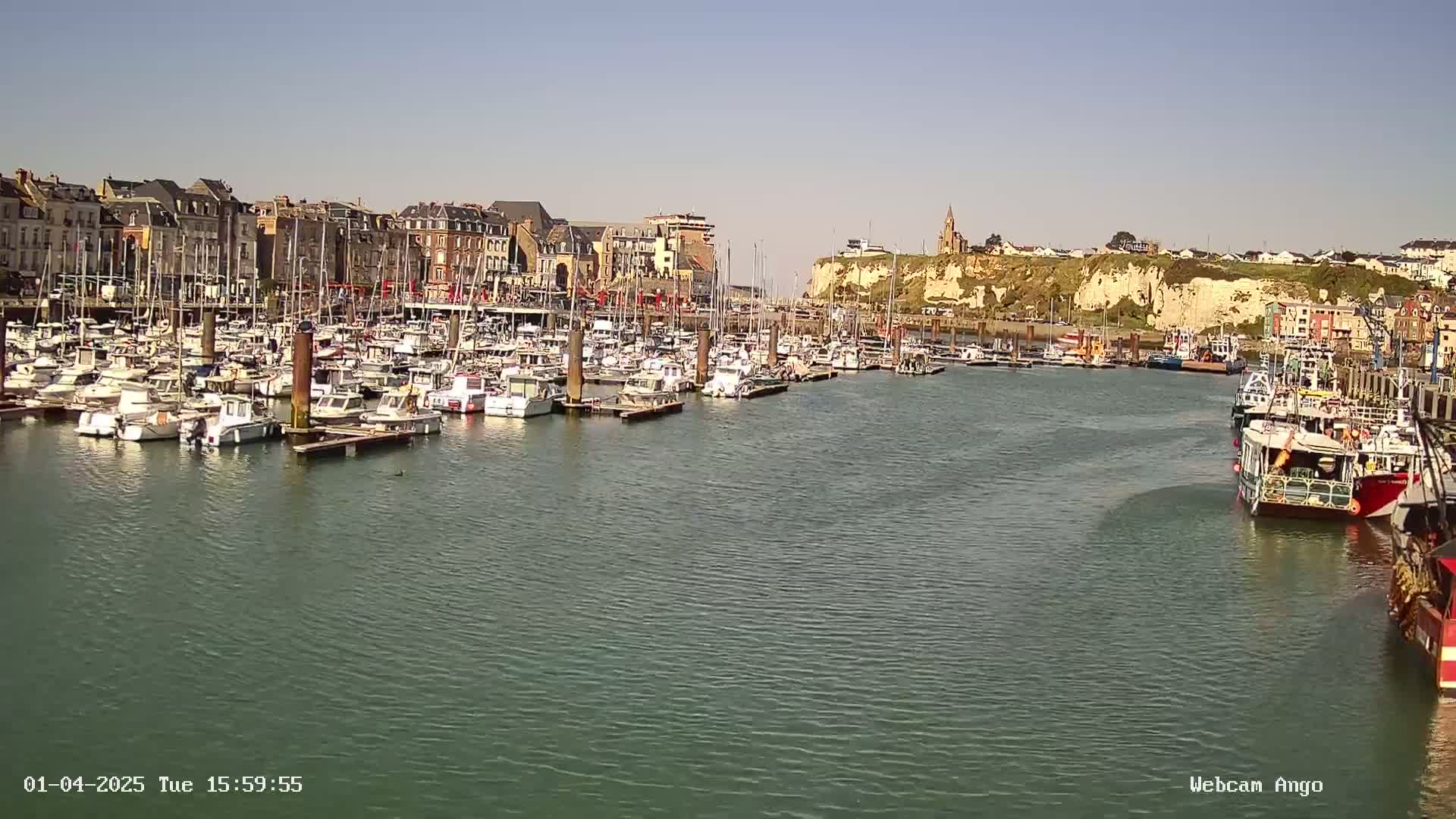 A harbor filled with numerous boats is situated in front of a town with buildings lining the waterfront under a clear, sunny sky.