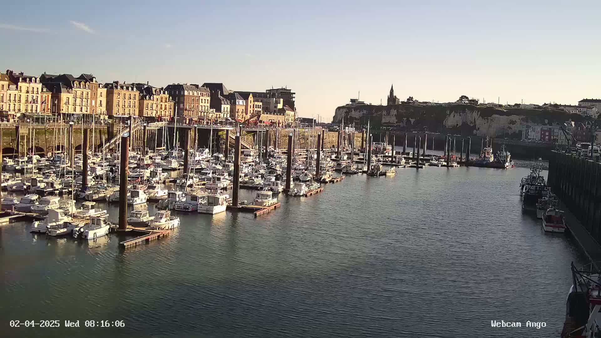 A harbor filled with numerous boats is situated in front of a town with multi-story buildings under a clear sky.